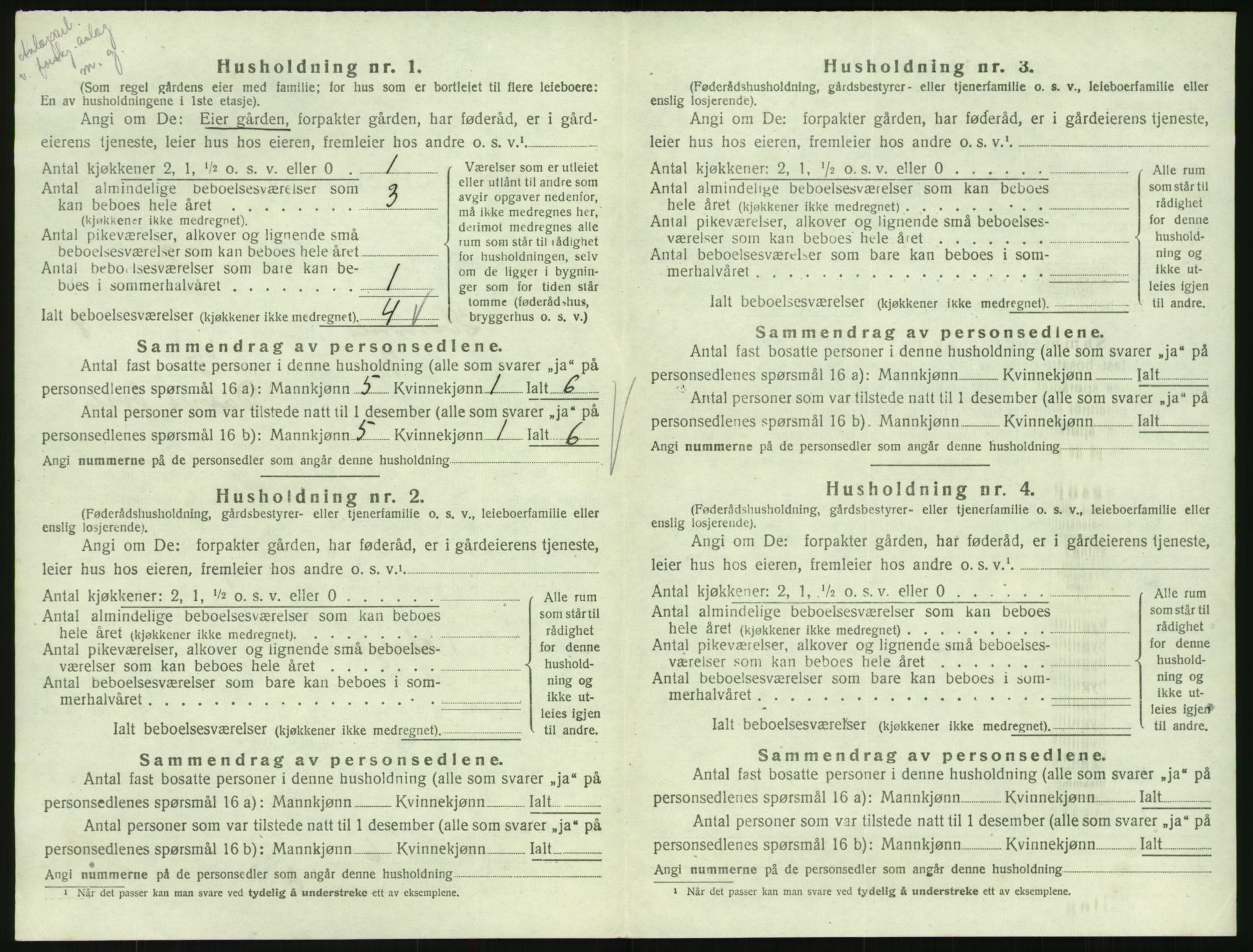 SAK, Folketelling 1920 for 0936 Hornnes herred, 1920, s. 290
