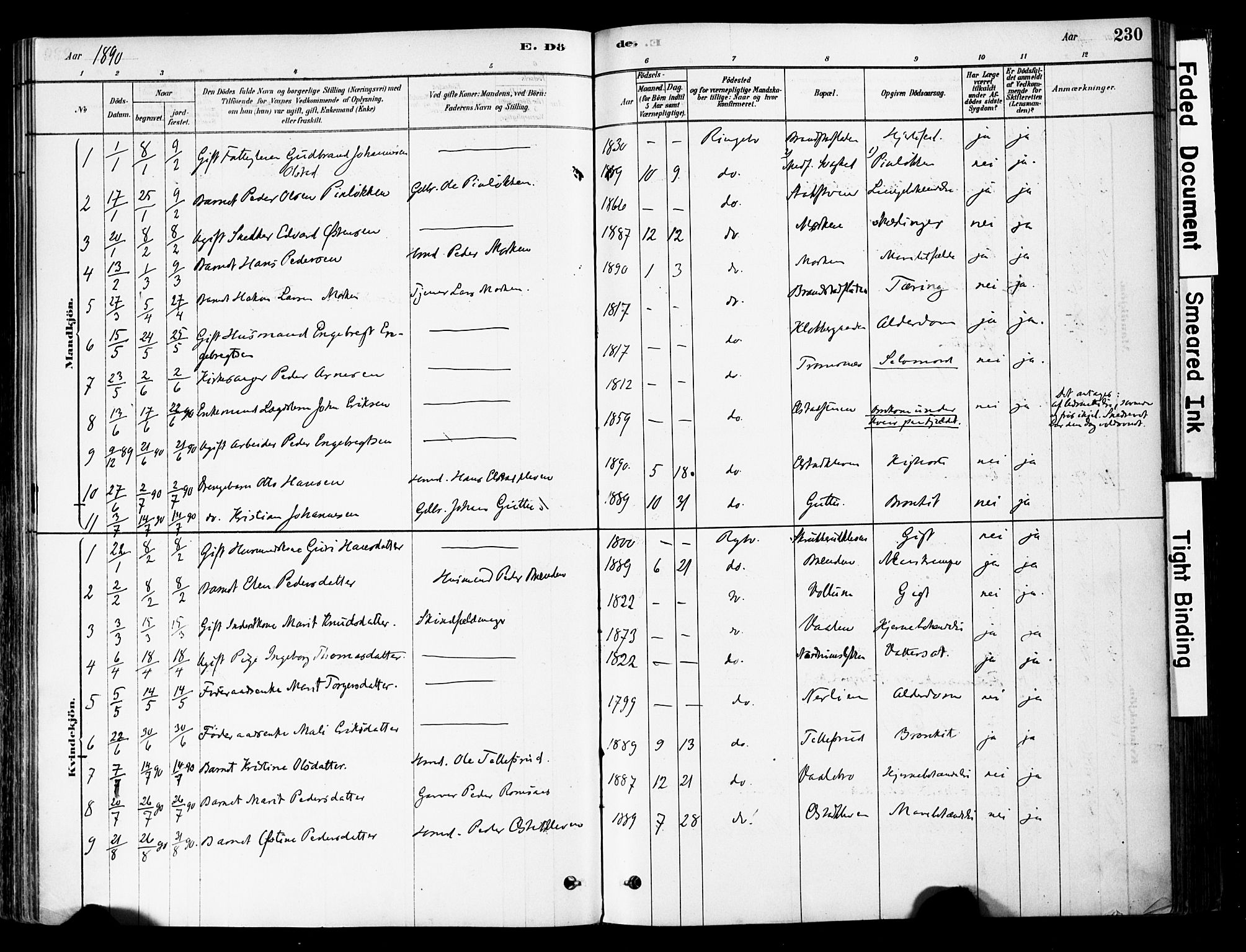 Ringebu prestekontor, AV/SAH-PREST-082/H/Ha/Haa/L0008: Ministerialbok nr. 8, 1878-1898, s. 230