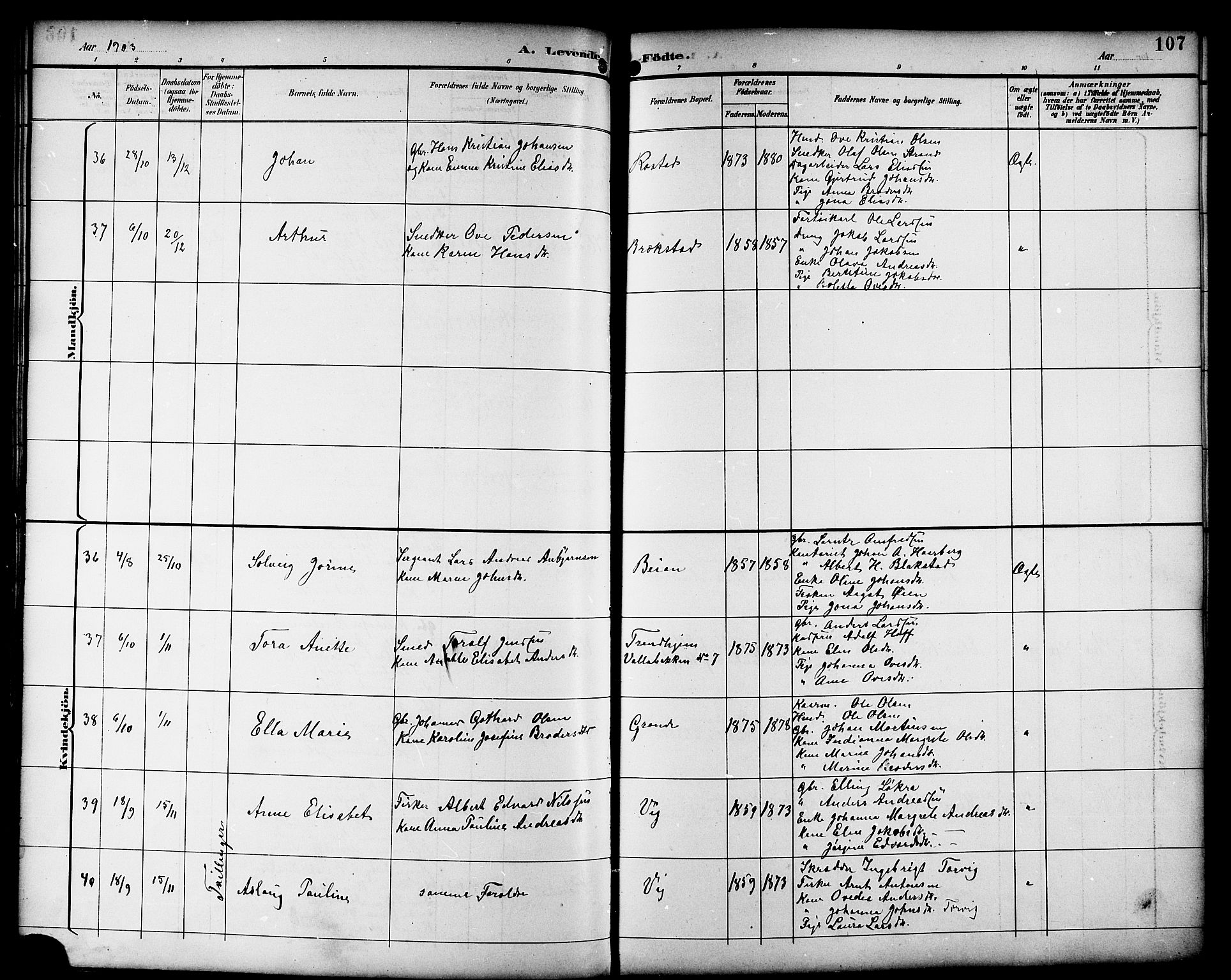 Ministerialprotokoller, klokkerbøker og fødselsregistre - Sør-Trøndelag, SAT/A-1456/659/L0746: Klokkerbok nr. 659C03, 1893-1912, s. 107