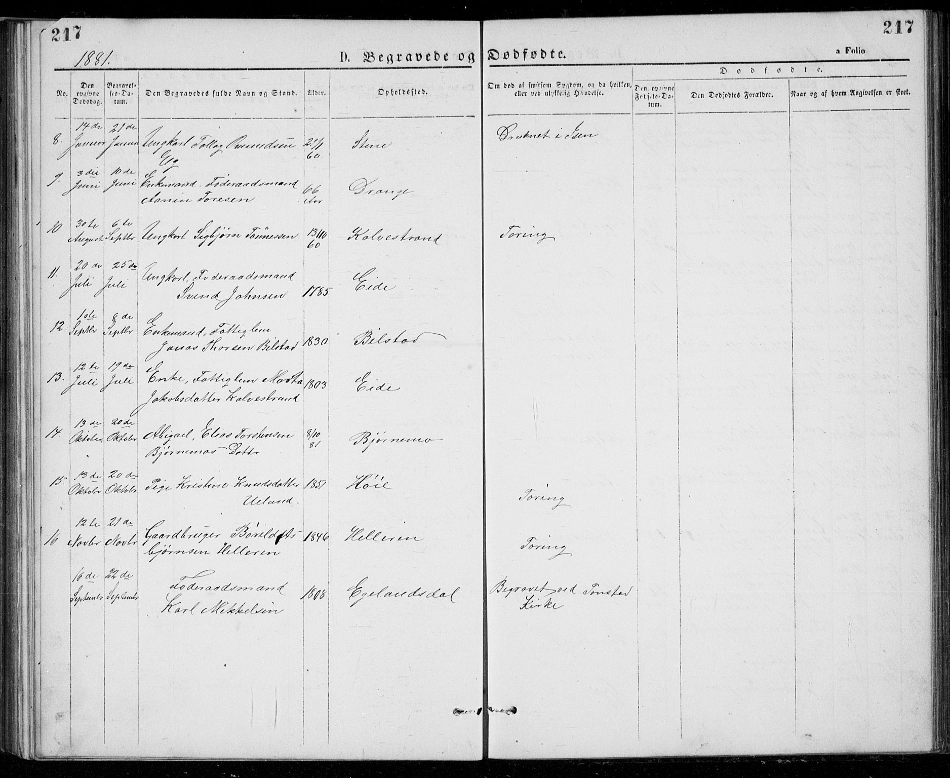 Lund sokneprestkontor, AV/SAST-A-101809/S07/L0005: Klokkerbok nr. B 5, 1875-1889, s. 217