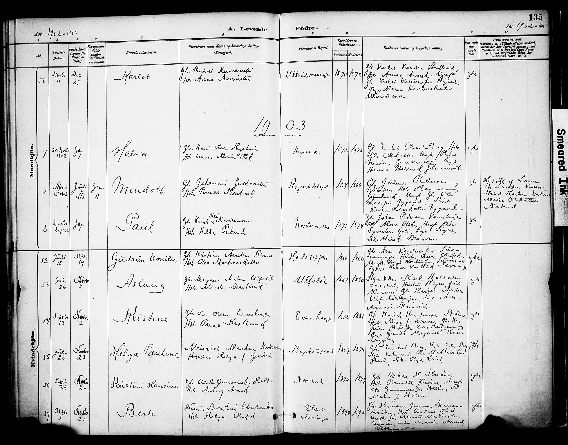 Våler prestekontor, Hedmark, AV/SAH-PREST-040/H/Ha/Haa/L0005: Ministerialbok nr. 5, 1887-1905, s. 135