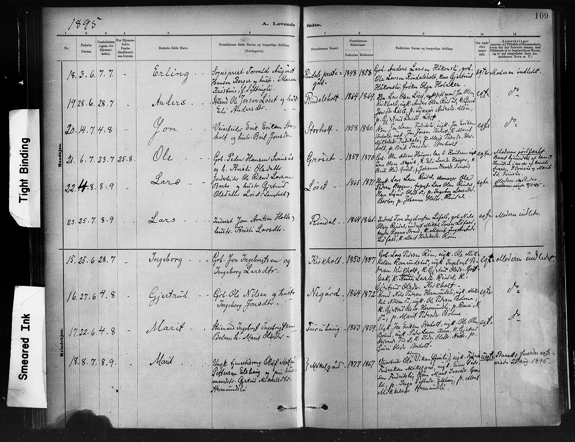 Ministerialprotokoller, klokkerbøker og fødselsregistre - Møre og Romsdal, AV/SAT-A-1454/598/L1069: Ministerialbok nr. 598A03, 1882-1895, s. 109
