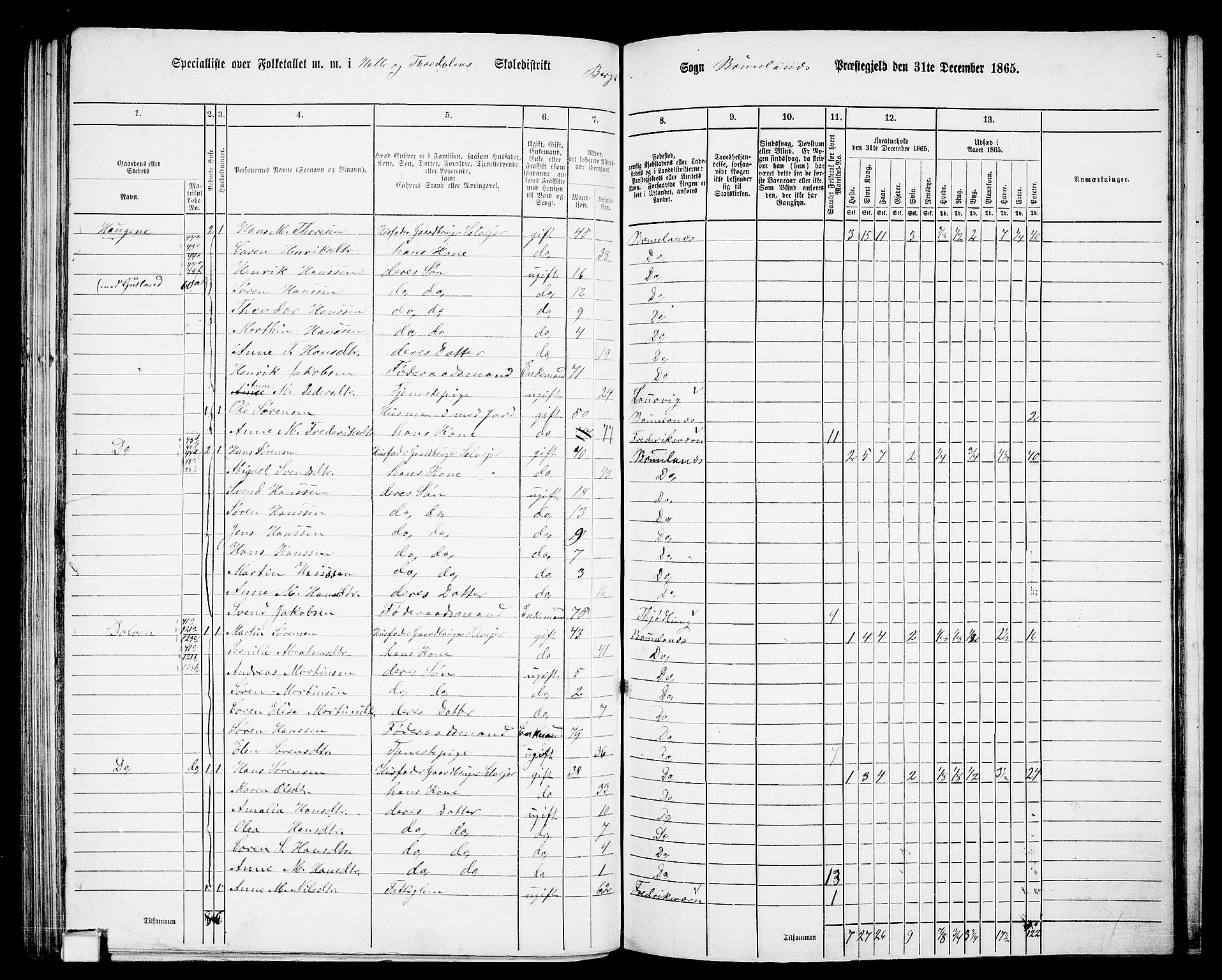 RA, Folketelling 1865 for 0726P Brunlanes prestegjeld, 1865, s. 107