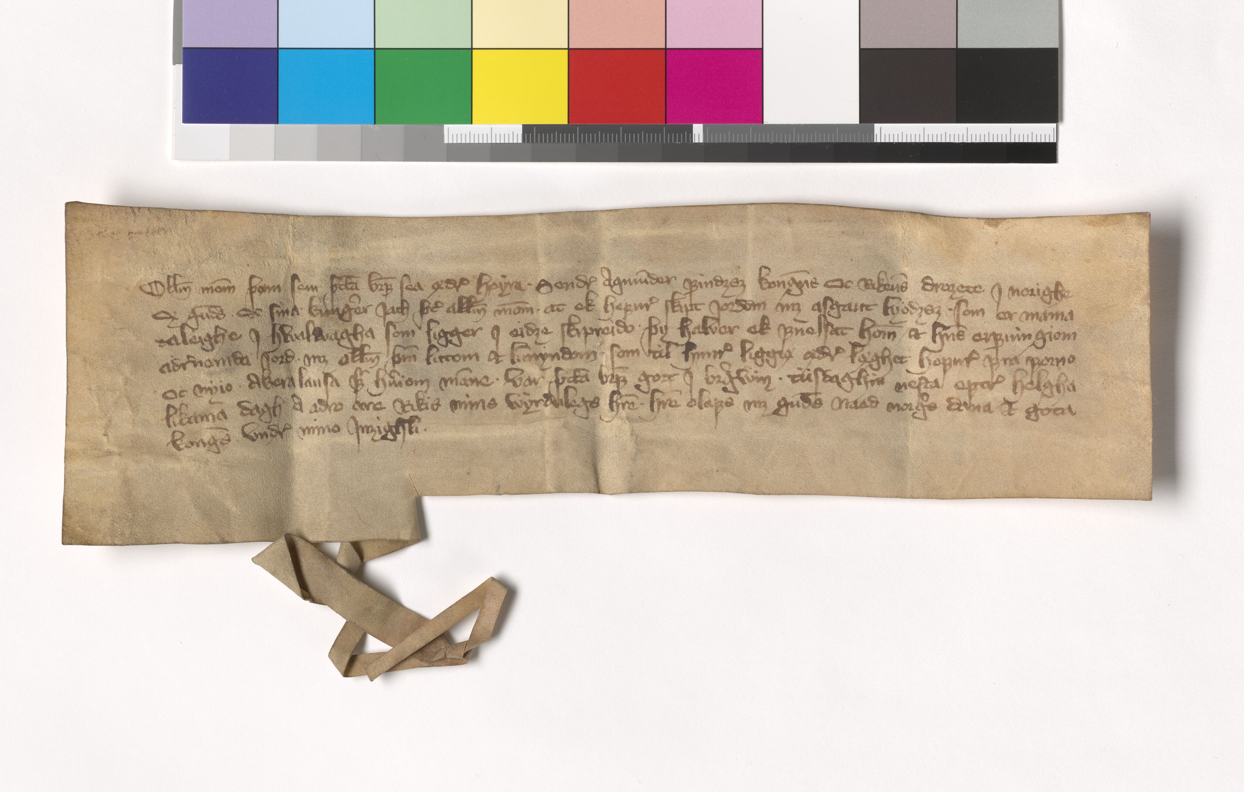 Riksarkivets diplomsamling, AV/RA-EA-5965/F05/L0113: NRA AM fasc. 36 nr. 13 -  fasc. 37 nr. 3, 1379-1384, s. 8