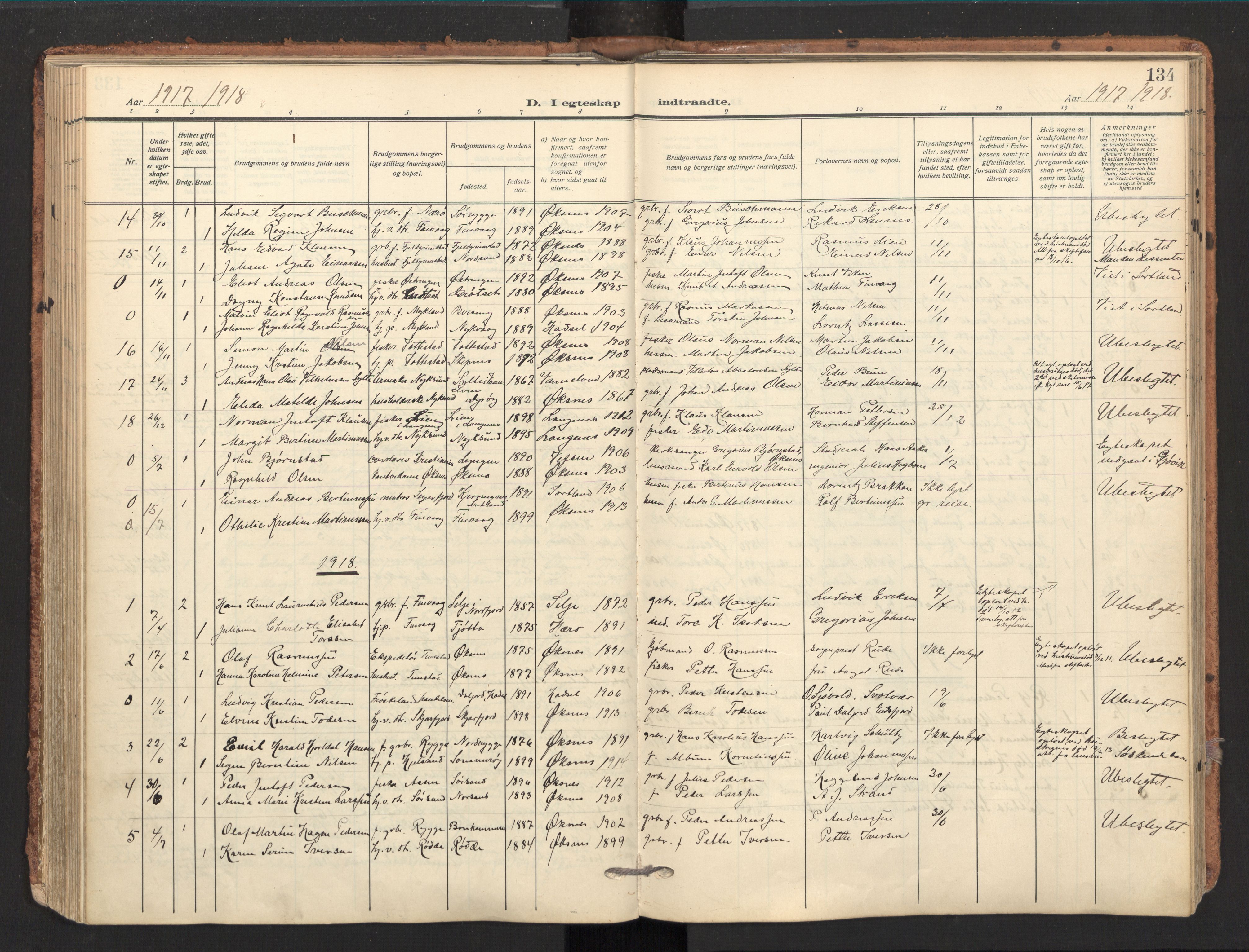 Ministerialprotokoller, klokkerbøker og fødselsregistre - Nordland, AV/SAT-A-1459/893/L1343: Ministerialbok nr. 893A15, 1914-1928, s. 134