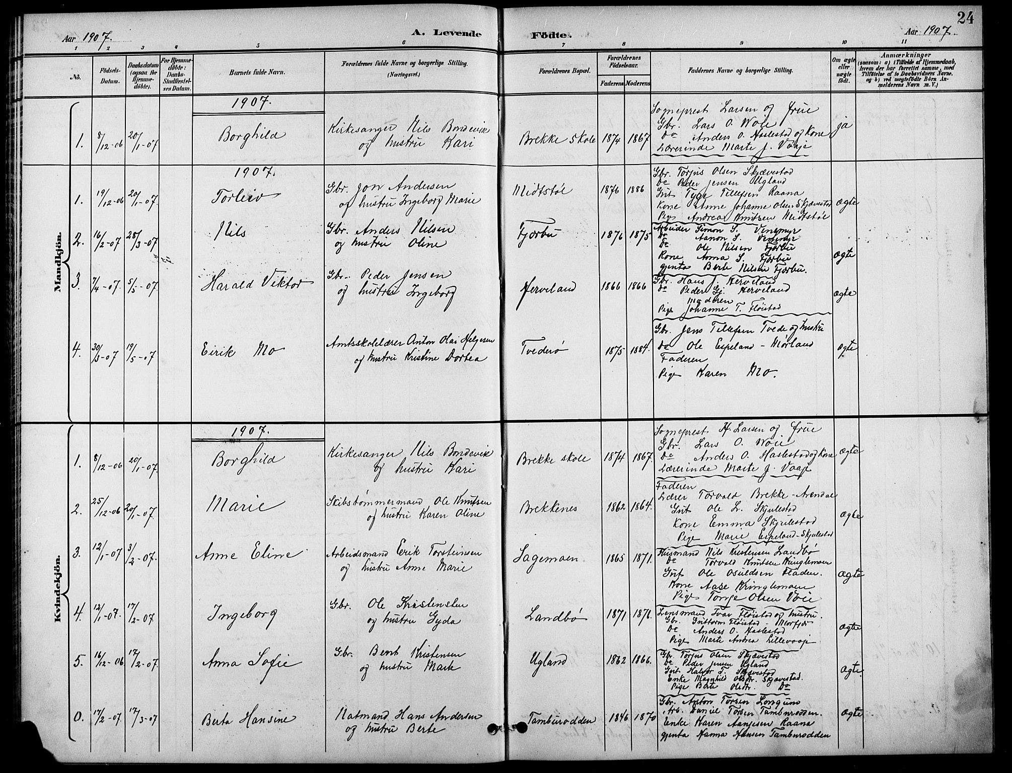 Austre Moland sokneprestkontor, SAK/1111-0001/F/Fb/Fba/L0004: Klokkerbok nr. B 4a, 1897-1913, s. 24