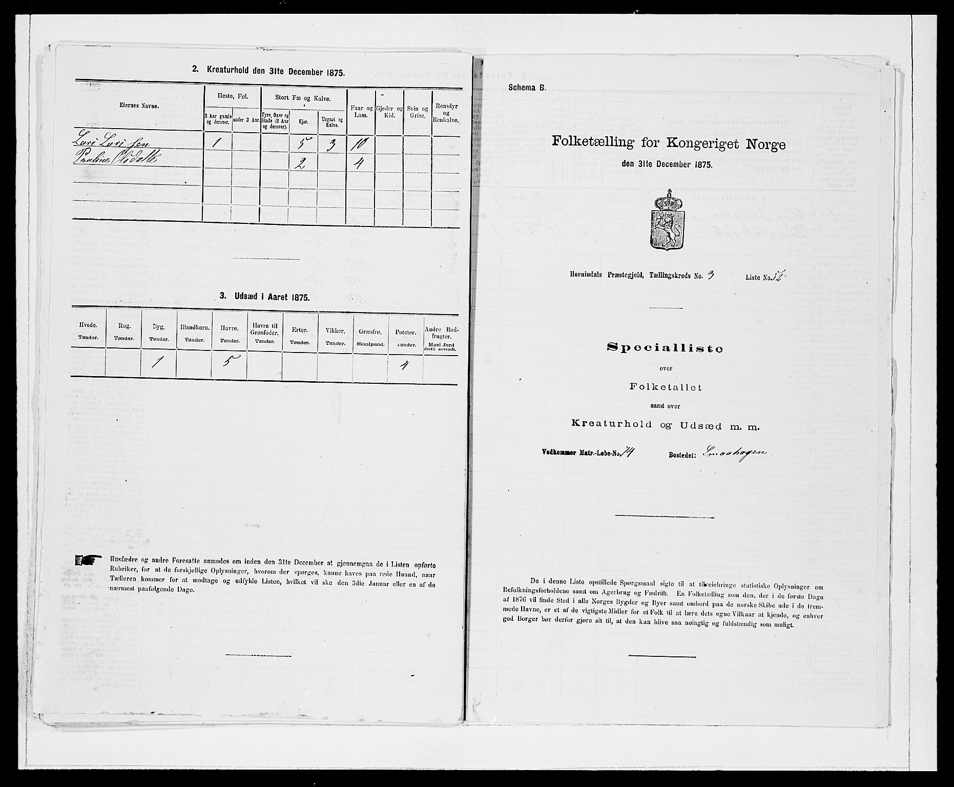 SAB, Folketelling 1875 for 1444P Hornindal prestegjeld, 1875, s. 381