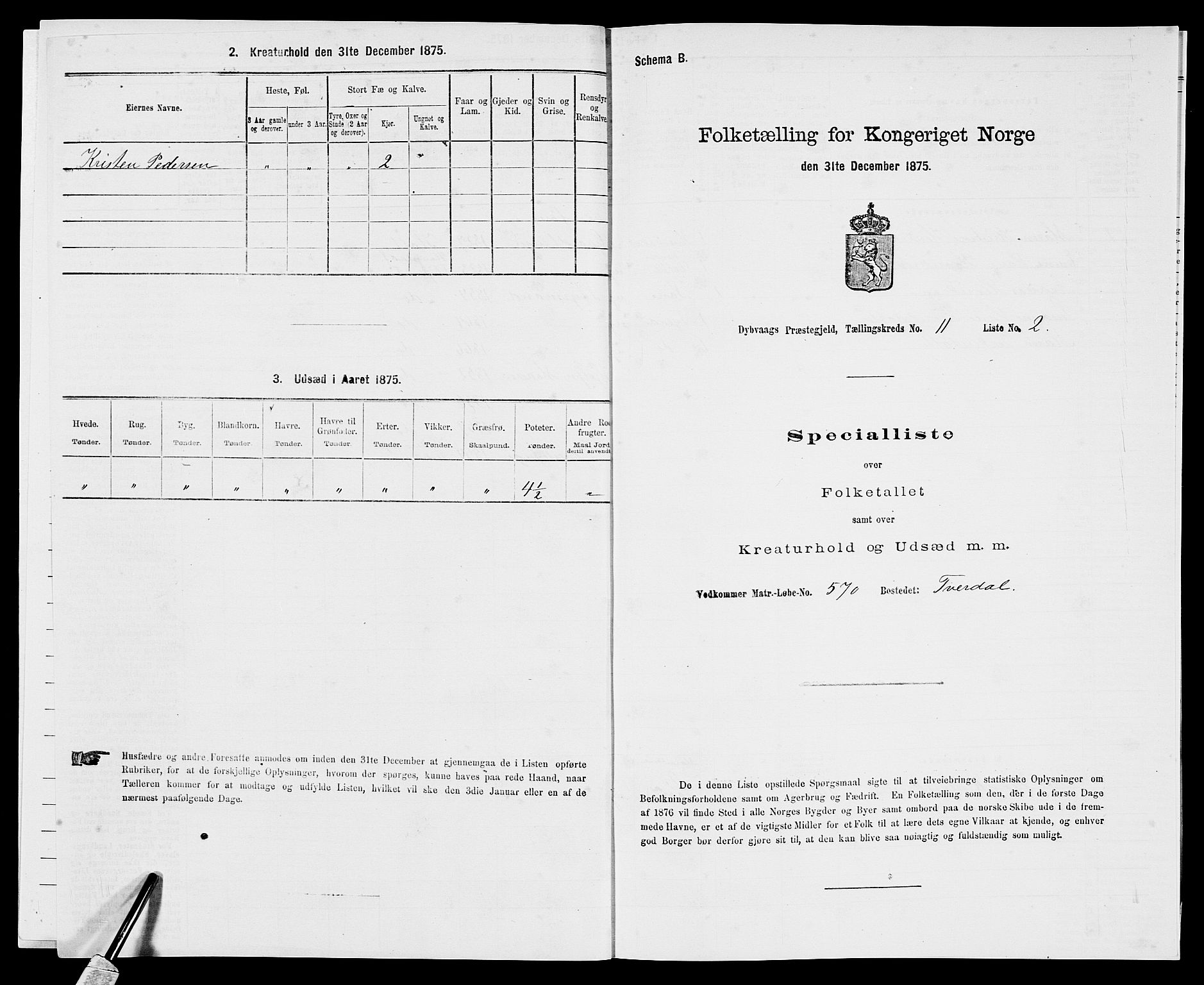 SAK, Folketelling 1875 for 0915P Dypvåg prestegjeld, 1875, s. 1514