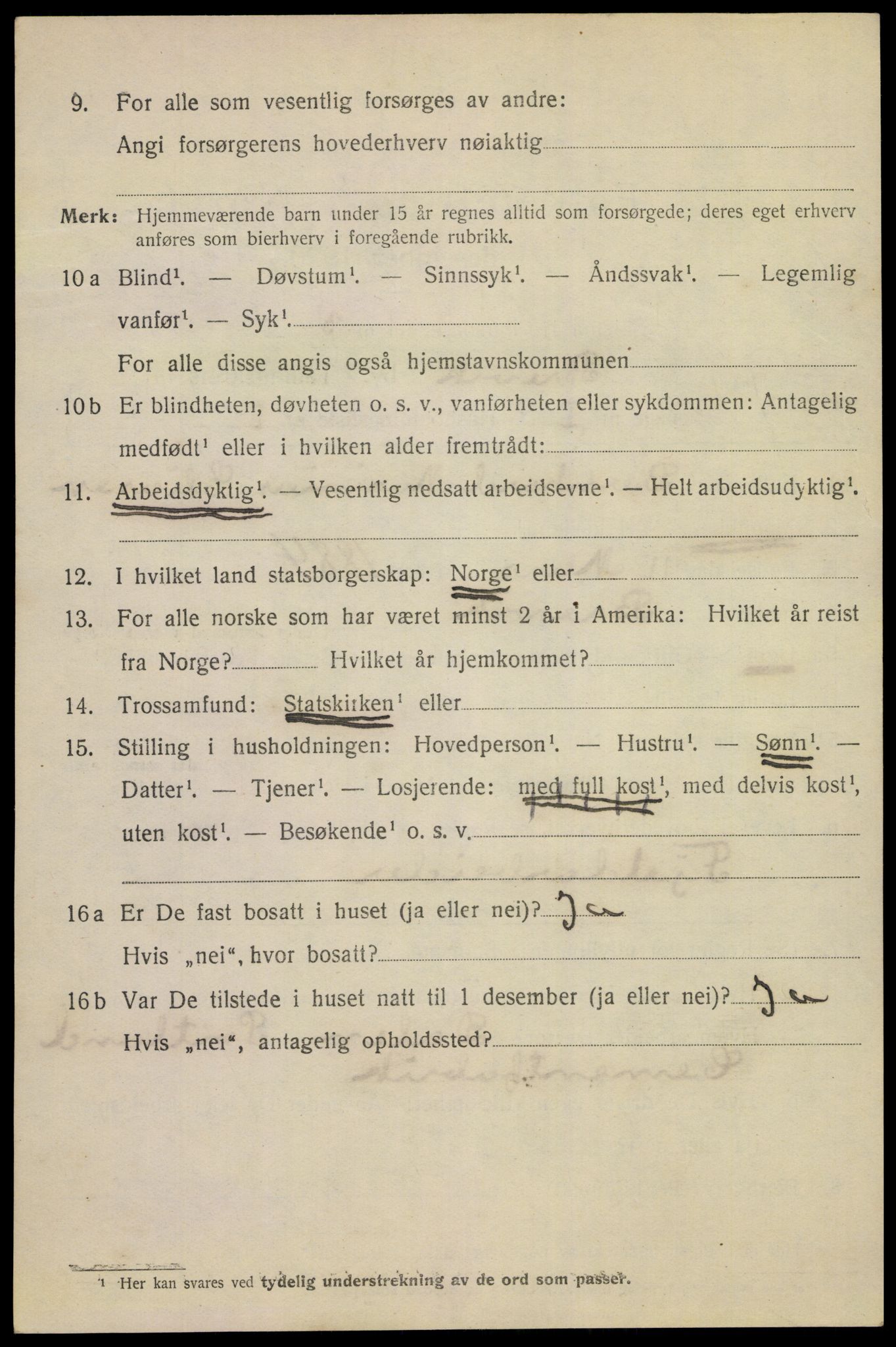 SAKO, Folketelling 1920 for 0804 Brevik kjøpstad, 1920, s. 7119
