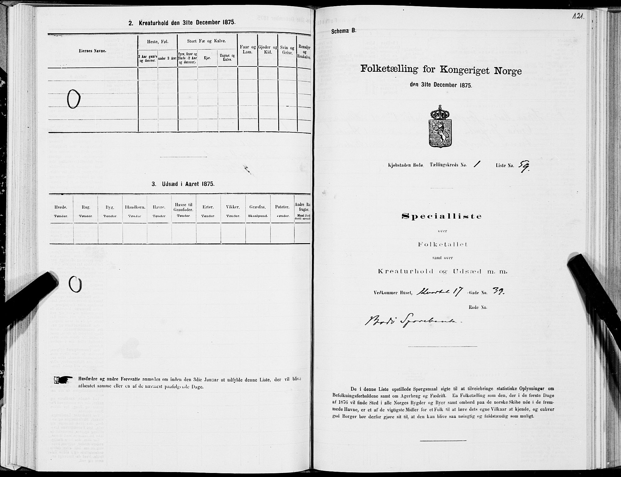 SAT, Folketelling 1875 for 1804B Bodø prestegjeld, Bodø kjøpstad, 1875, s. 121