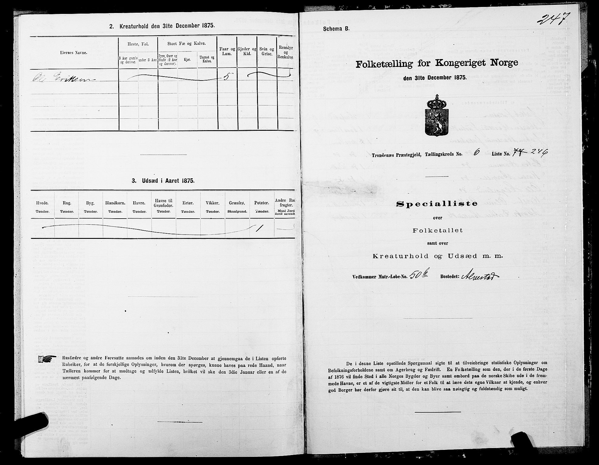 SATØ, Folketelling 1875 for 1914P Trondenes prestegjeld, 1875, s. 7247