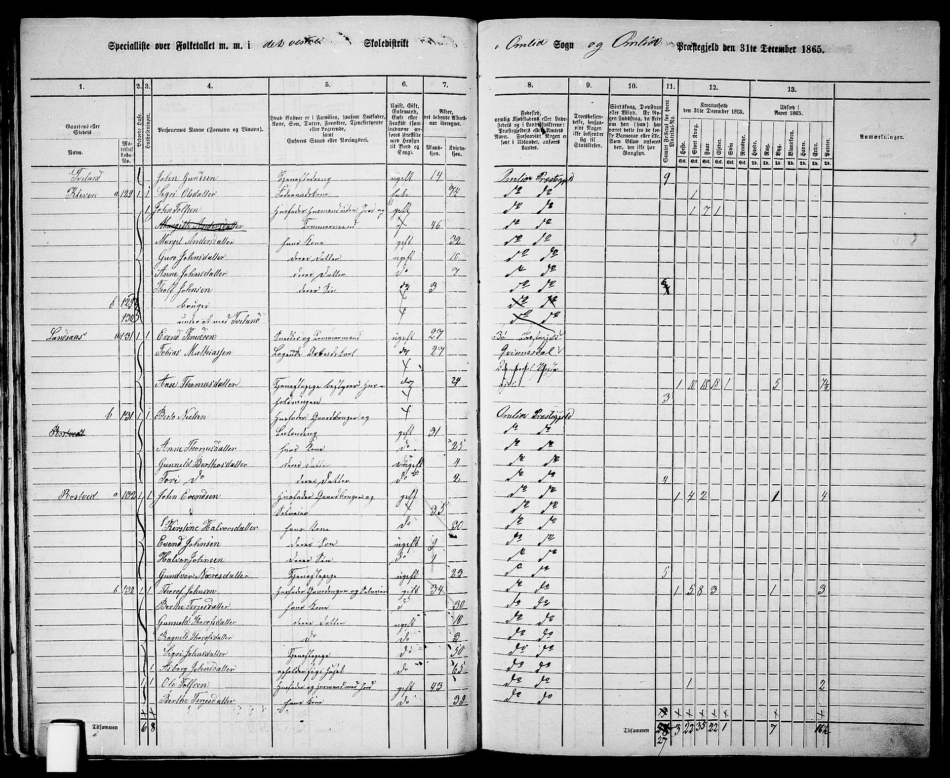 RA, Folketelling 1865 for 0929P Åmli prestegjeld, 1865, s. 42