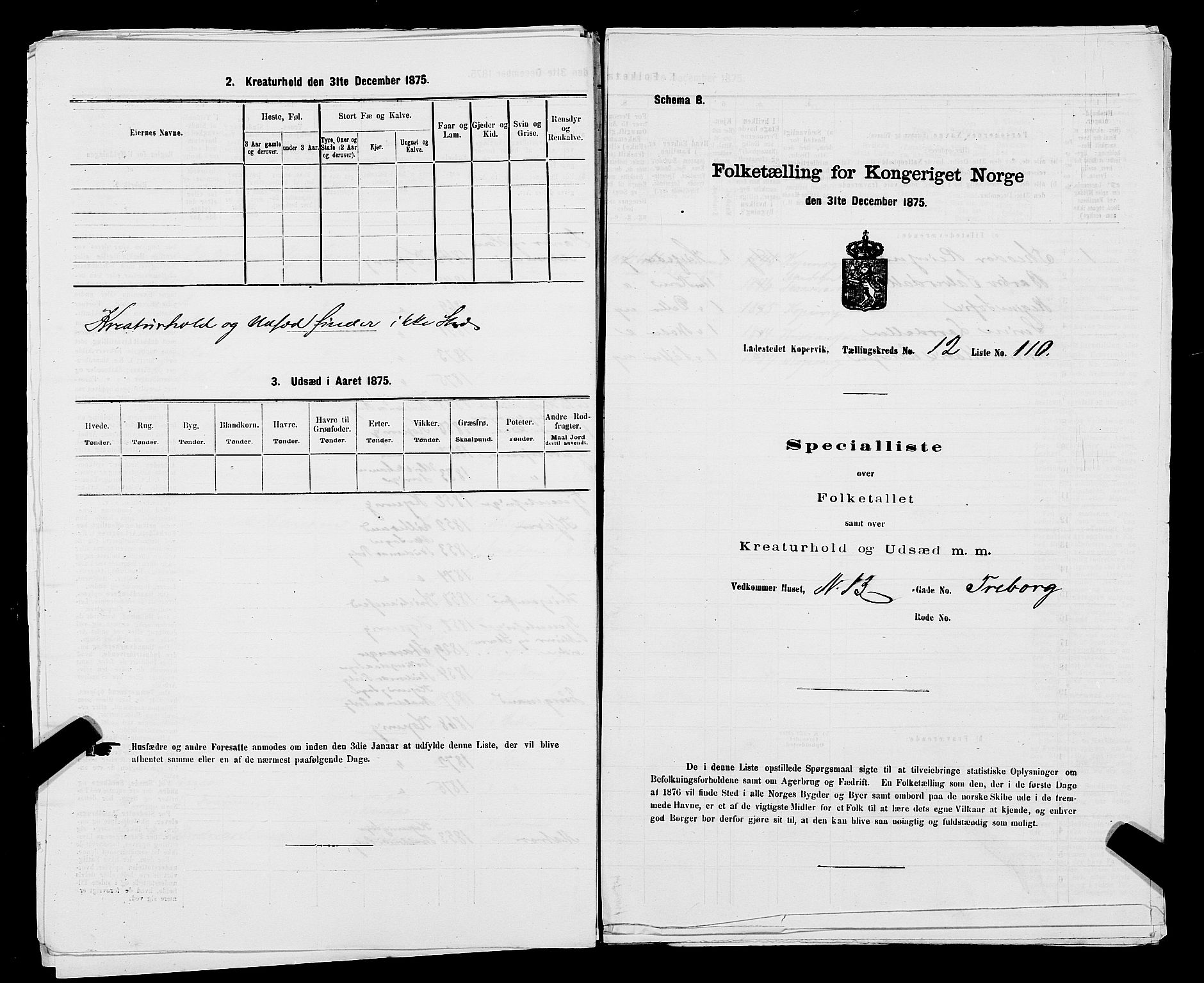 SAST, Folketelling 1875 for 1105B Avaldsnes prestegjeld, Kopervik ladested, 1875, s. 219