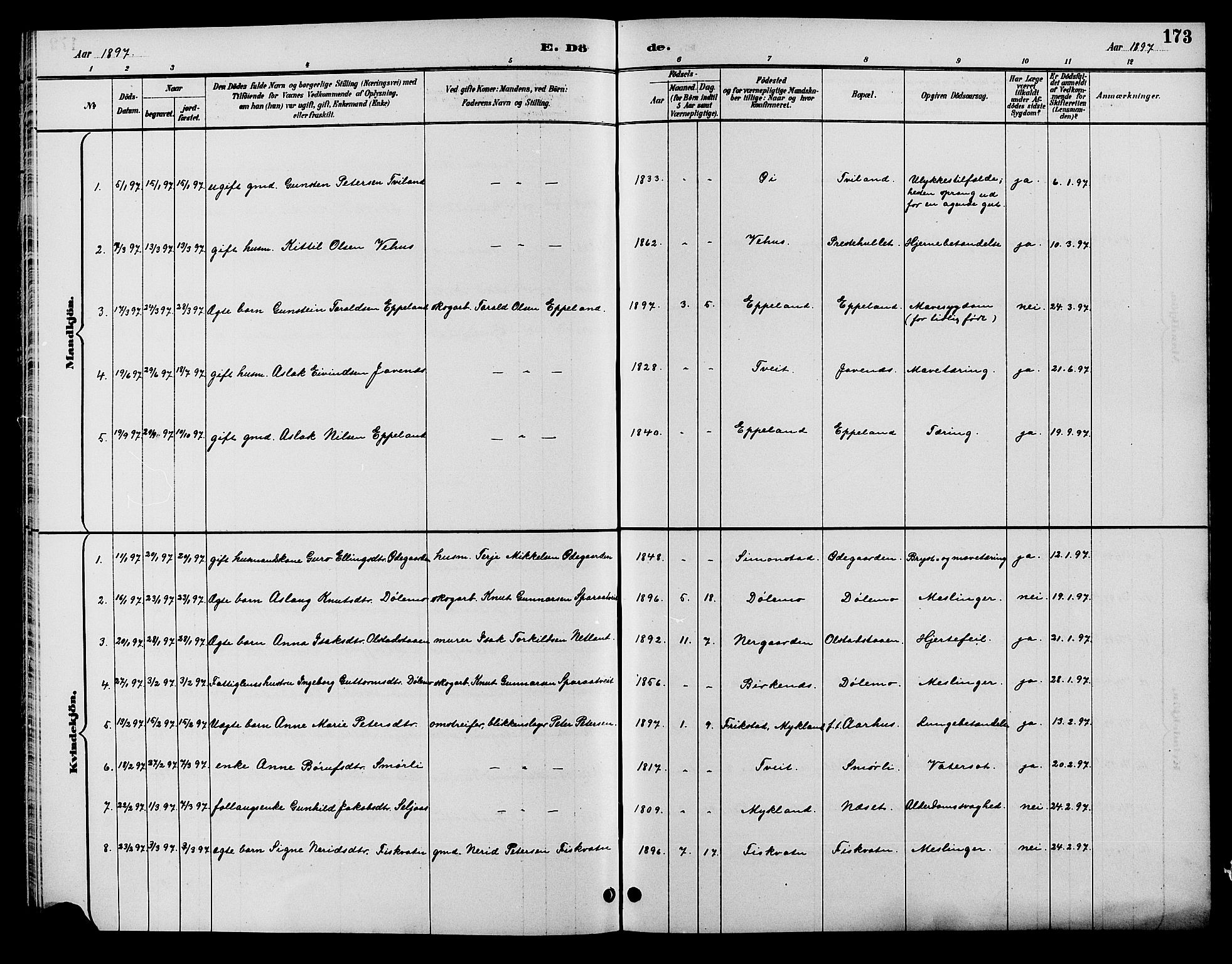 Åmli sokneprestkontor, SAK/1111-0050/F/Fb/Fbc/L0004: Klokkerbok nr. B 4, 1889-1902, s. 173