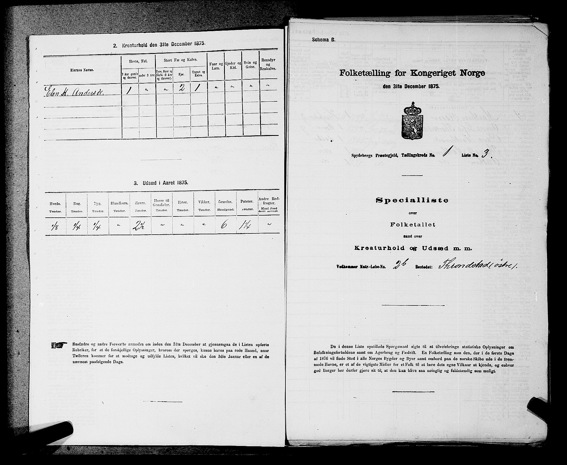 RA, Folketelling 1875 for 0123P Spydeberg prestegjeld, 1875, s. 29