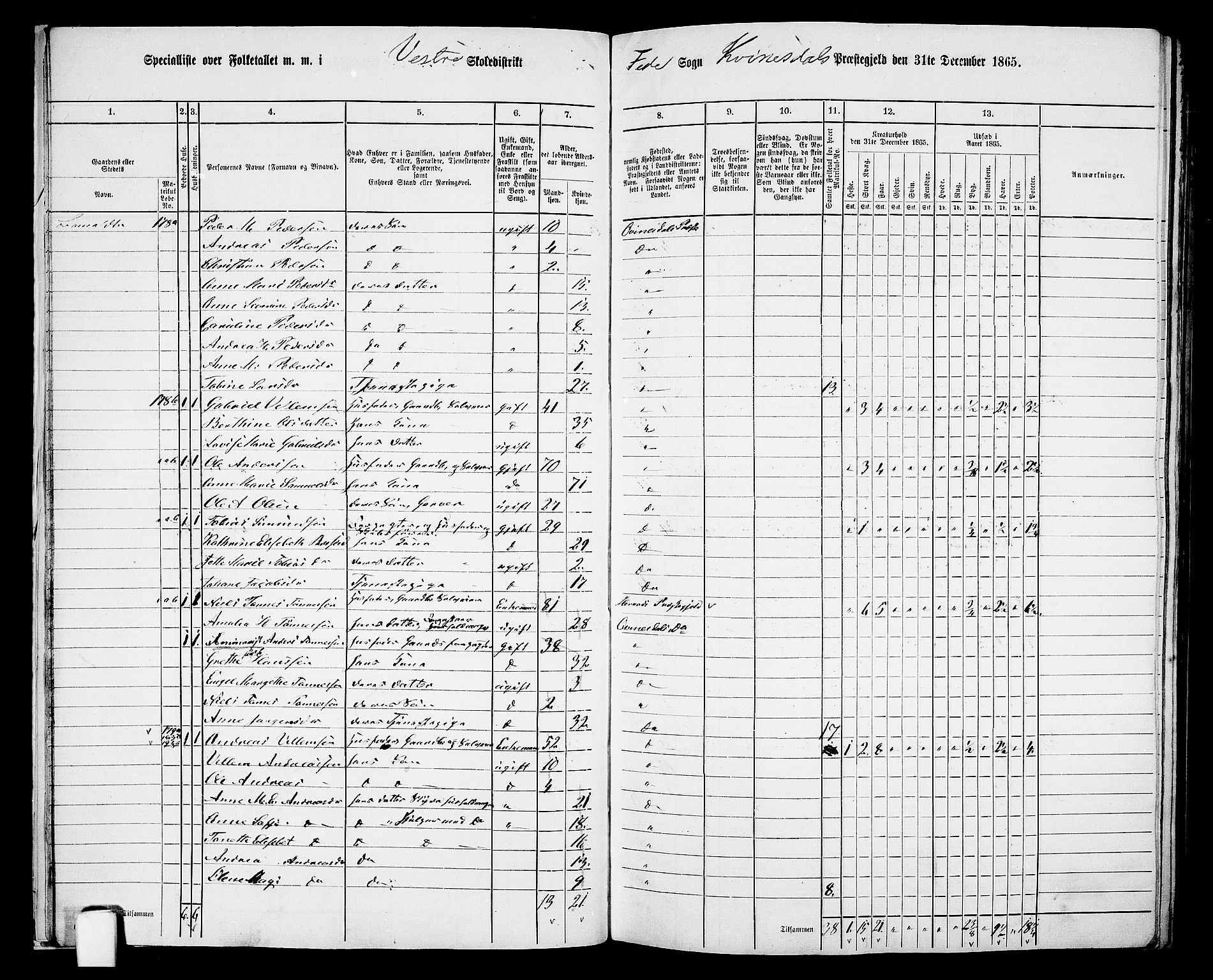 RA, Folketelling 1865 for 1037P Kvinesdal prestegjeld, 1865, s. 26