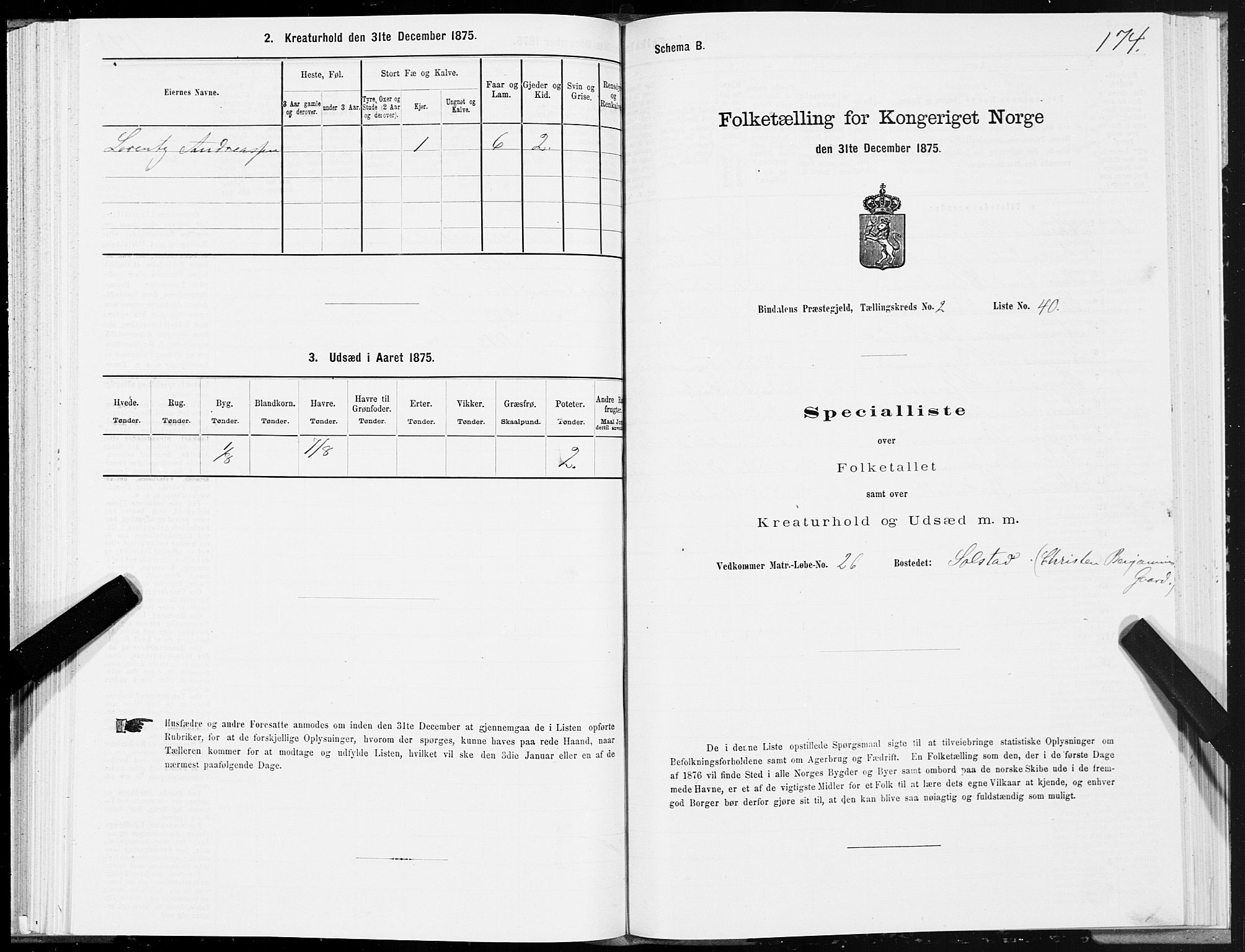SAT, Folketelling 1875 for 1811P Bindal prestegjeld, 1875, s. 1174