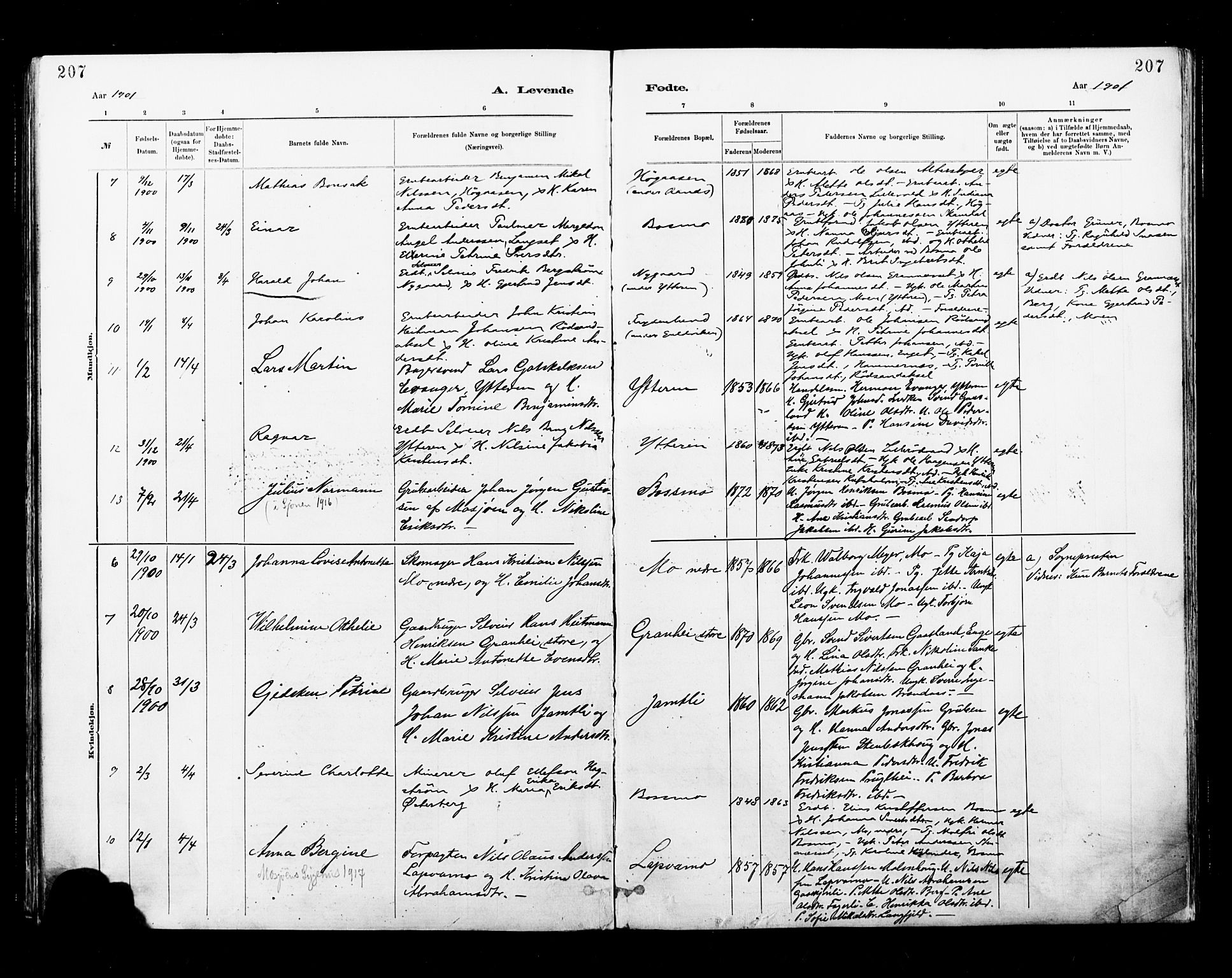 Ministerialprotokoller, klokkerbøker og fødselsregistre - Nordland, AV/SAT-A-1459/827/L0400: Ministerialbok nr. 827A12, 1883-1903, s. 207