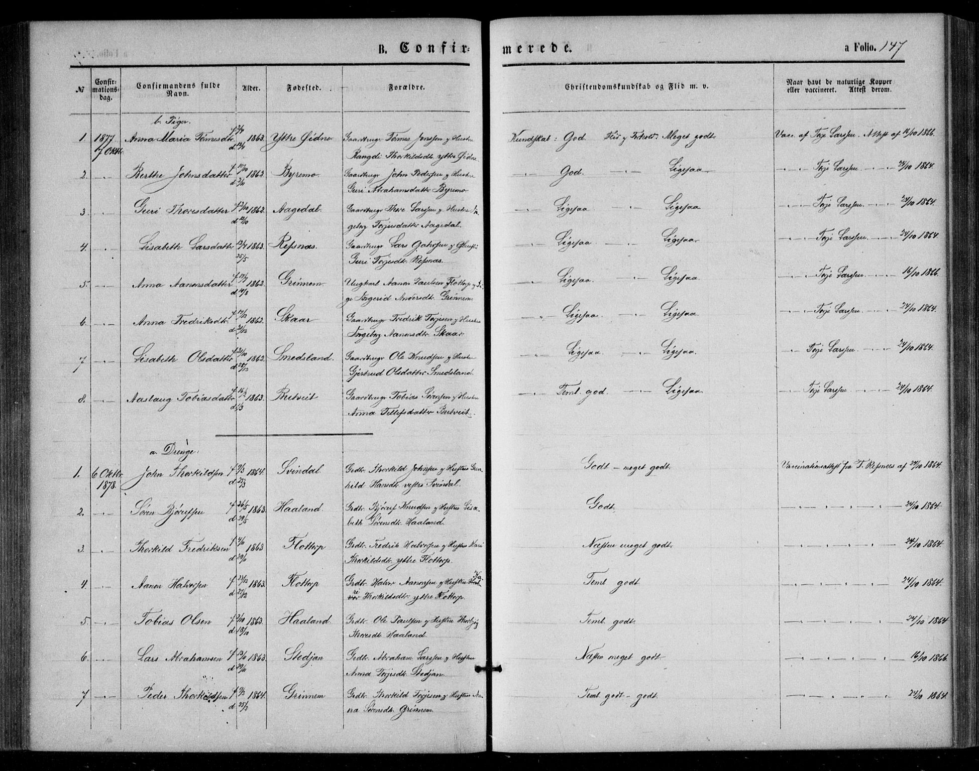 Bjelland sokneprestkontor, AV/SAK-1111-0005/F/Fa/Fac/L0002: Ministerialbok nr. A 2, 1866-1887, s. 147