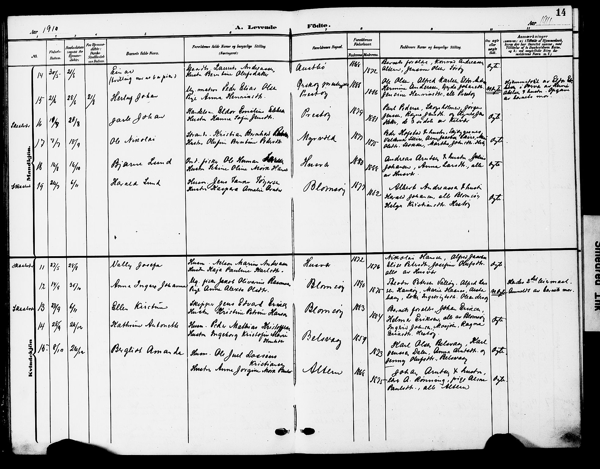 Ministerialprotokoller, klokkerbøker og fødselsregistre - Nordland, AV/SAT-A-1459/830/L0464: Klokkerbok nr. 830C06, 1906-1925, s. 14