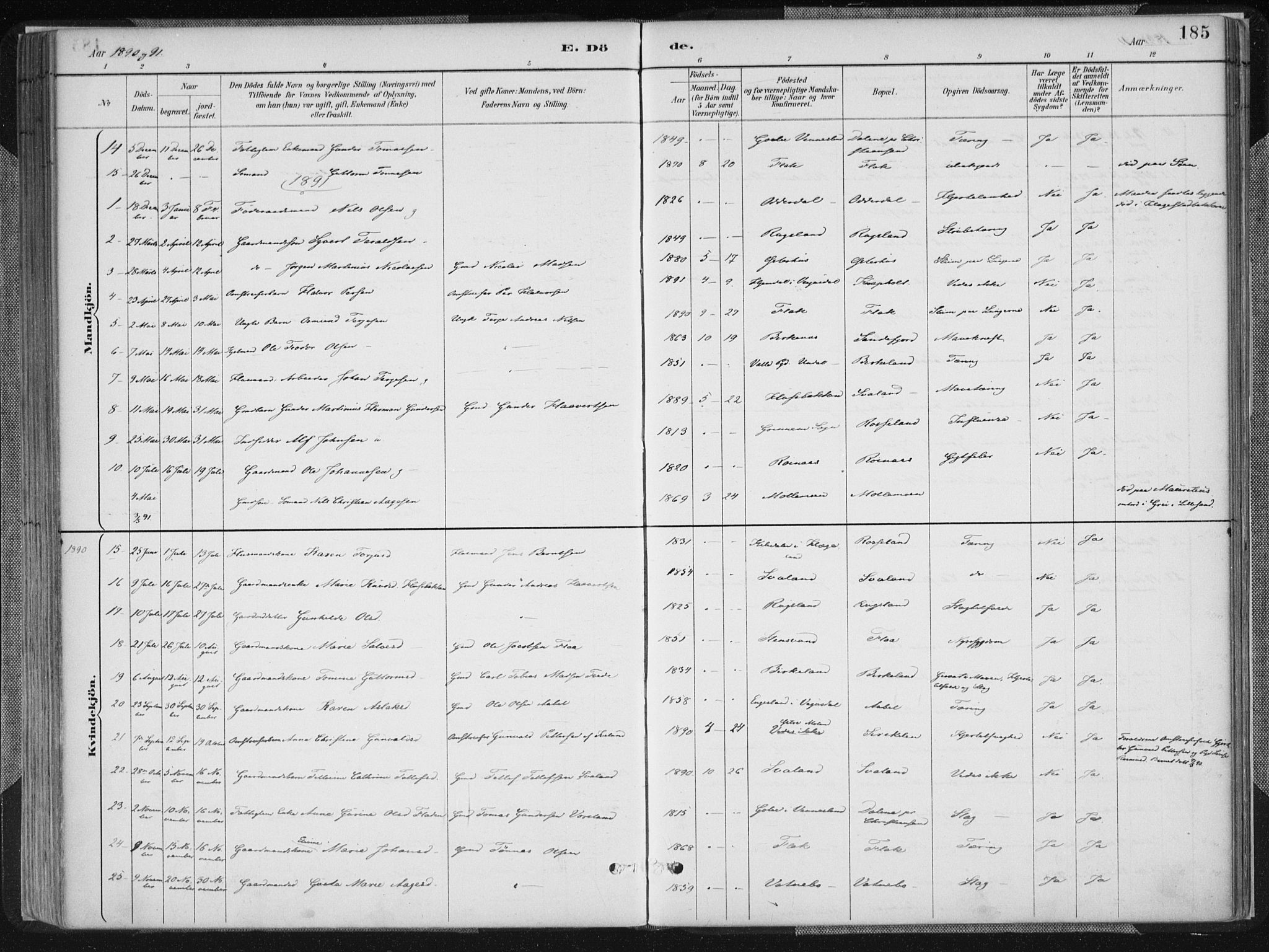 Birkenes sokneprestkontor, SAK/1111-0004/F/Fa/L0005: Ministerialbok nr. A 5, 1887-1907, s. 185