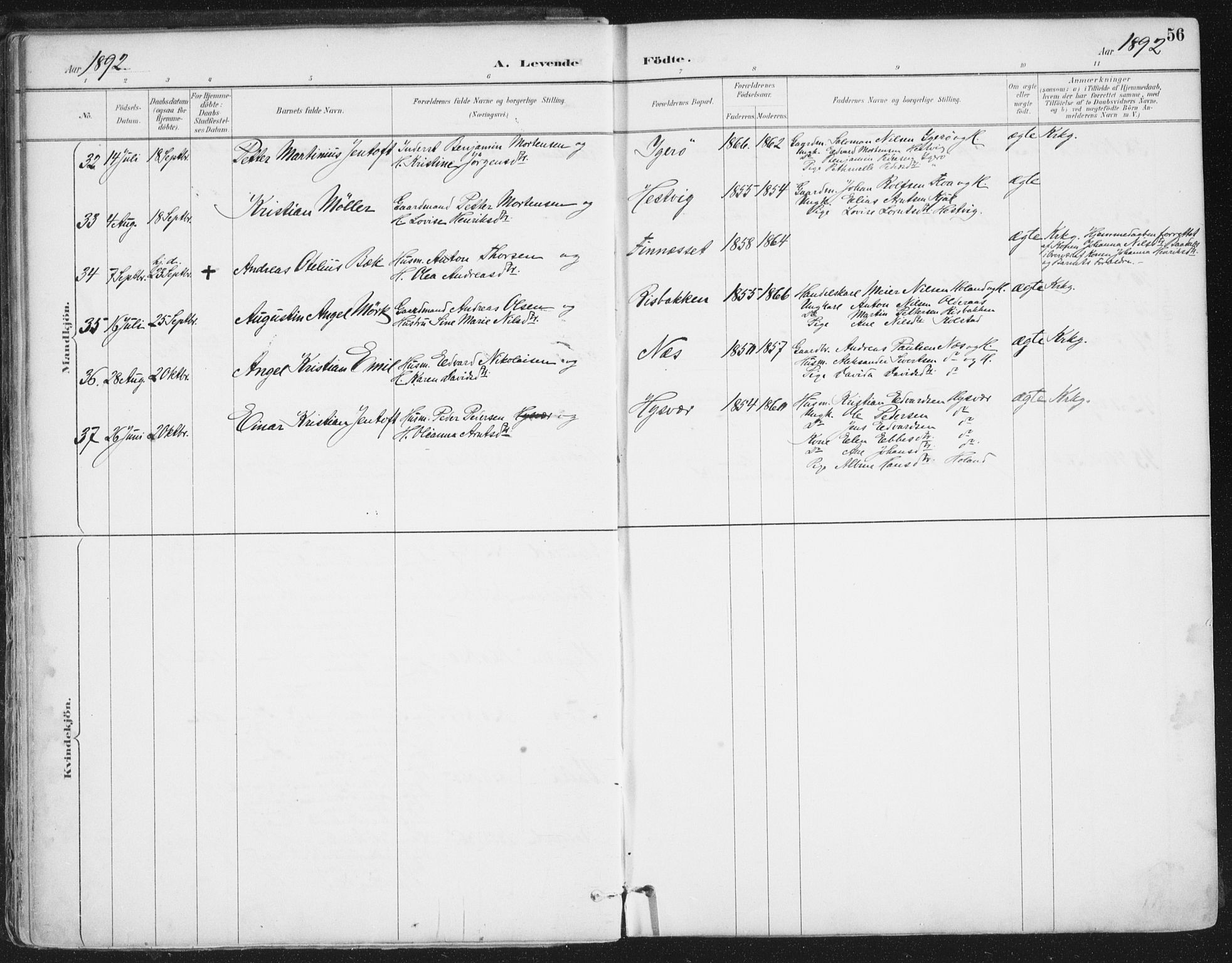 Ministerialprotokoller, klokkerbøker og fødselsregistre - Nordland, AV/SAT-A-1459/816/L0244: Ministerialbok nr. 816A10, 1886-1903, s. 56