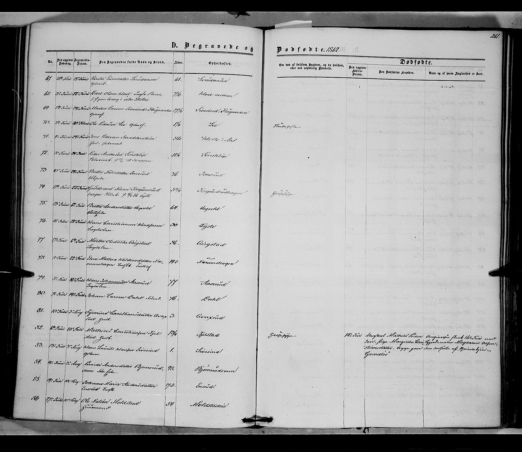 Vestre Toten prestekontor, AV/SAH-PREST-108/H/Ha/Haa/L0007: Ministerialbok nr. 7, 1862-1869, s. 261