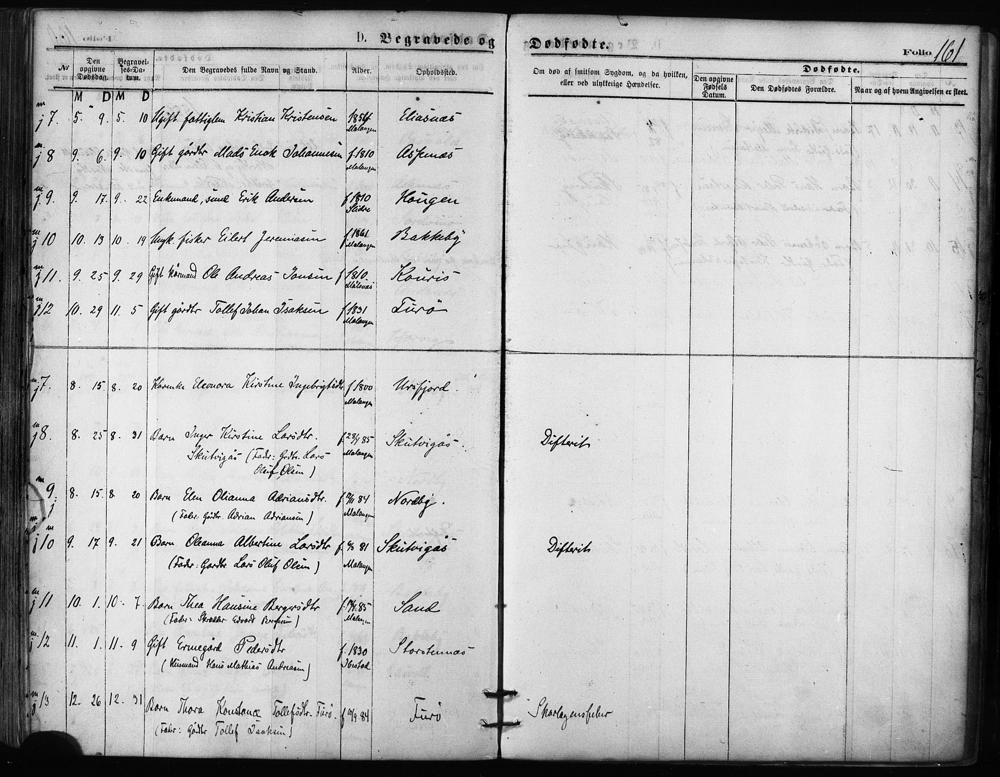 Balsfjord sokneprestembete, AV/SATØ-S-1303/G/Ga/L0002kirke: Ministerialbok nr. 2, 1871-1886, s. 161