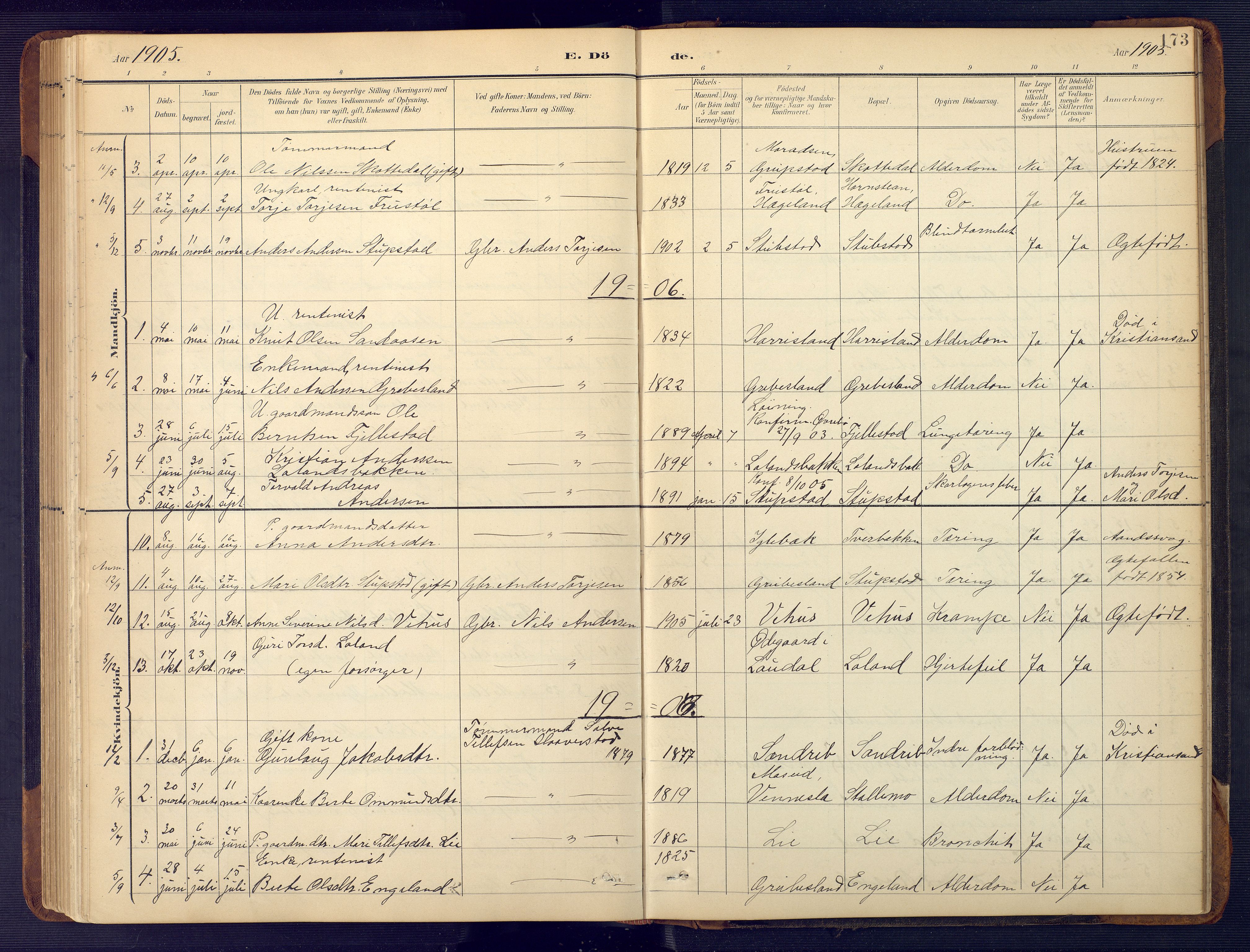 Vennesla sokneprestkontor, AV/SAK-1111-0045/Fb/Fbc/L0003: Klokkerbok nr. B 3, 1895-1946, s. 173