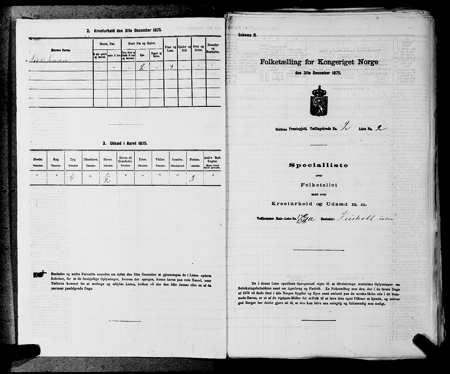 SAKO, Folketelling 1875 for 0819P Holla prestegjeld, 1875, s. 135