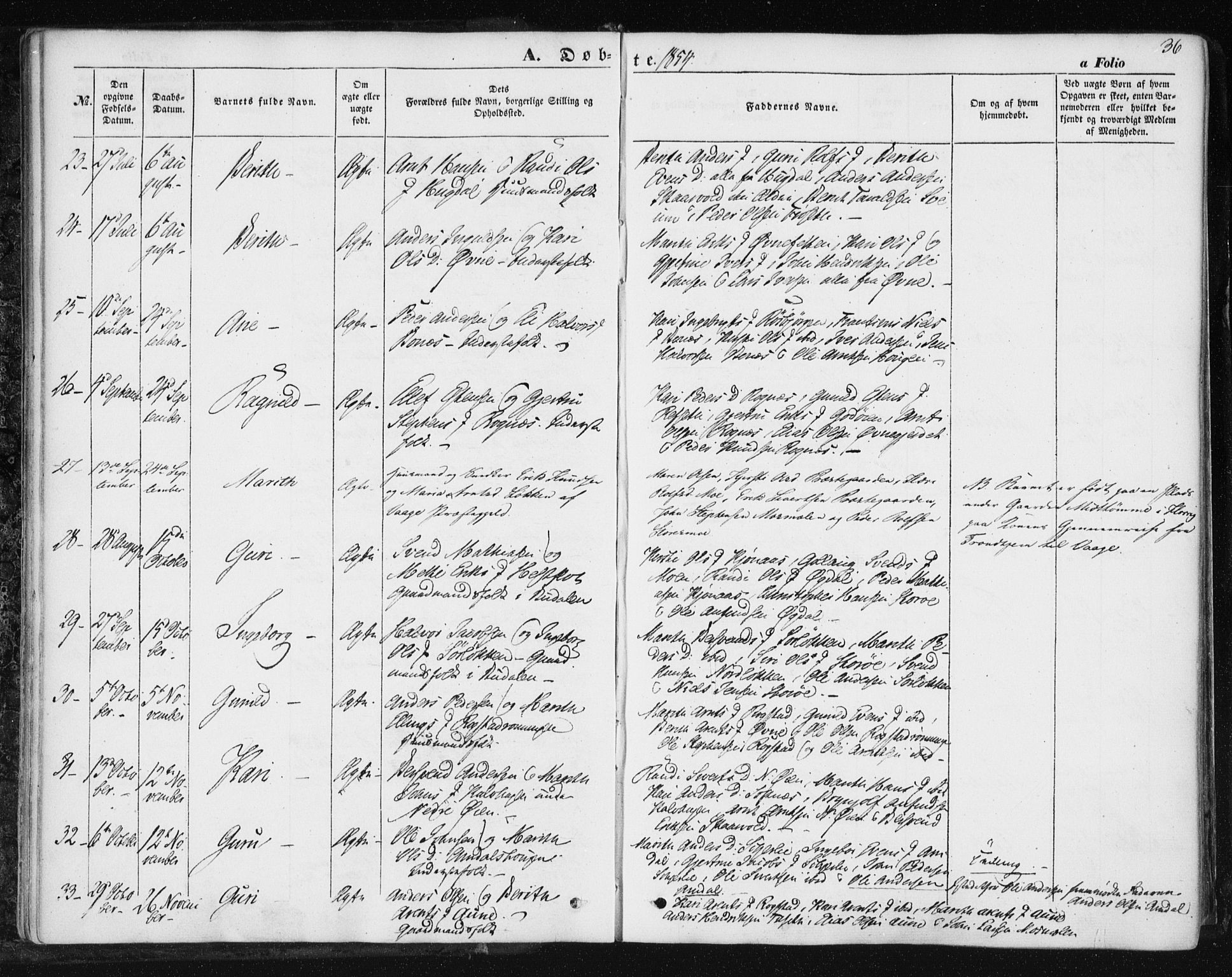 Ministerialprotokoller, klokkerbøker og fødselsregistre - Sør-Trøndelag, SAT/A-1456/687/L1000: Ministerialbok nr. 687A06, 1848-1869, s. 36
