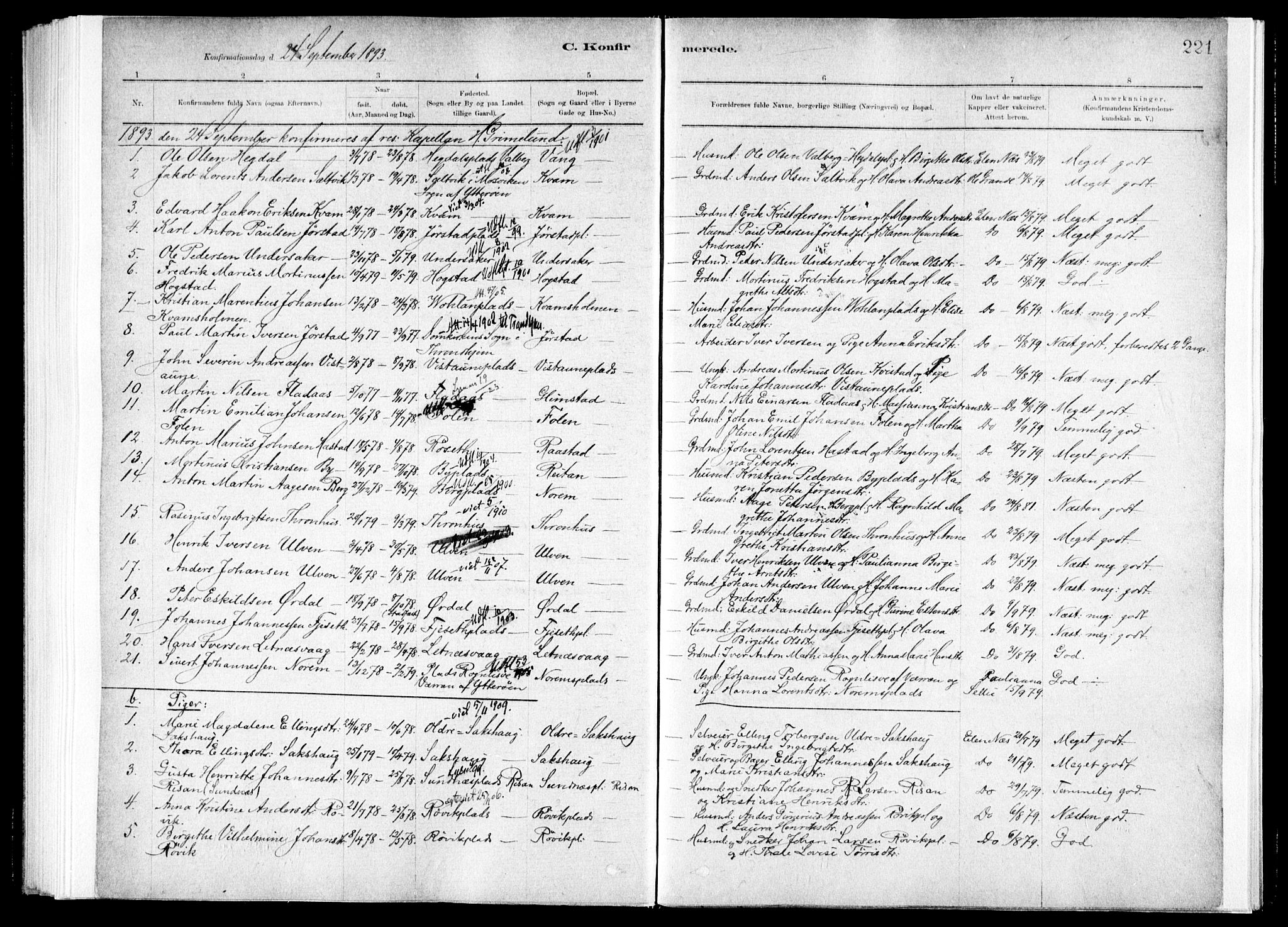 Ministerialprotokoller, klokkerbøker og fødselsregistre - Nord-Trøndelag, SAT/A-1458/730/L0285: Ministerialbok nr. 730A10, 1879-1914, s. 221
