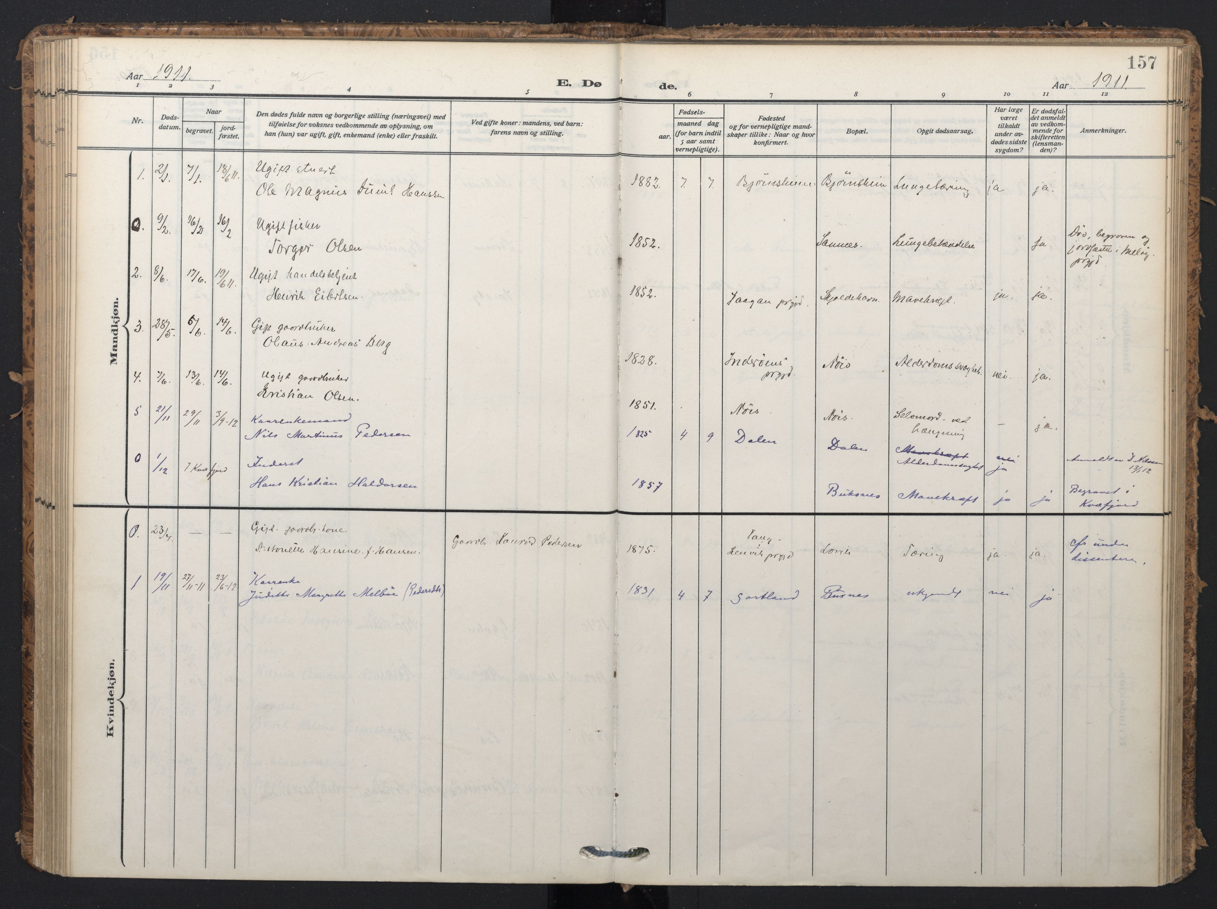 Ministerialprotokoller, klokkerbøker og fødselsregistre - Nordland, AV/SAT-A-1459/898/L1423: Ministerialbok nr. 898A03, 1909-1928, s. 157