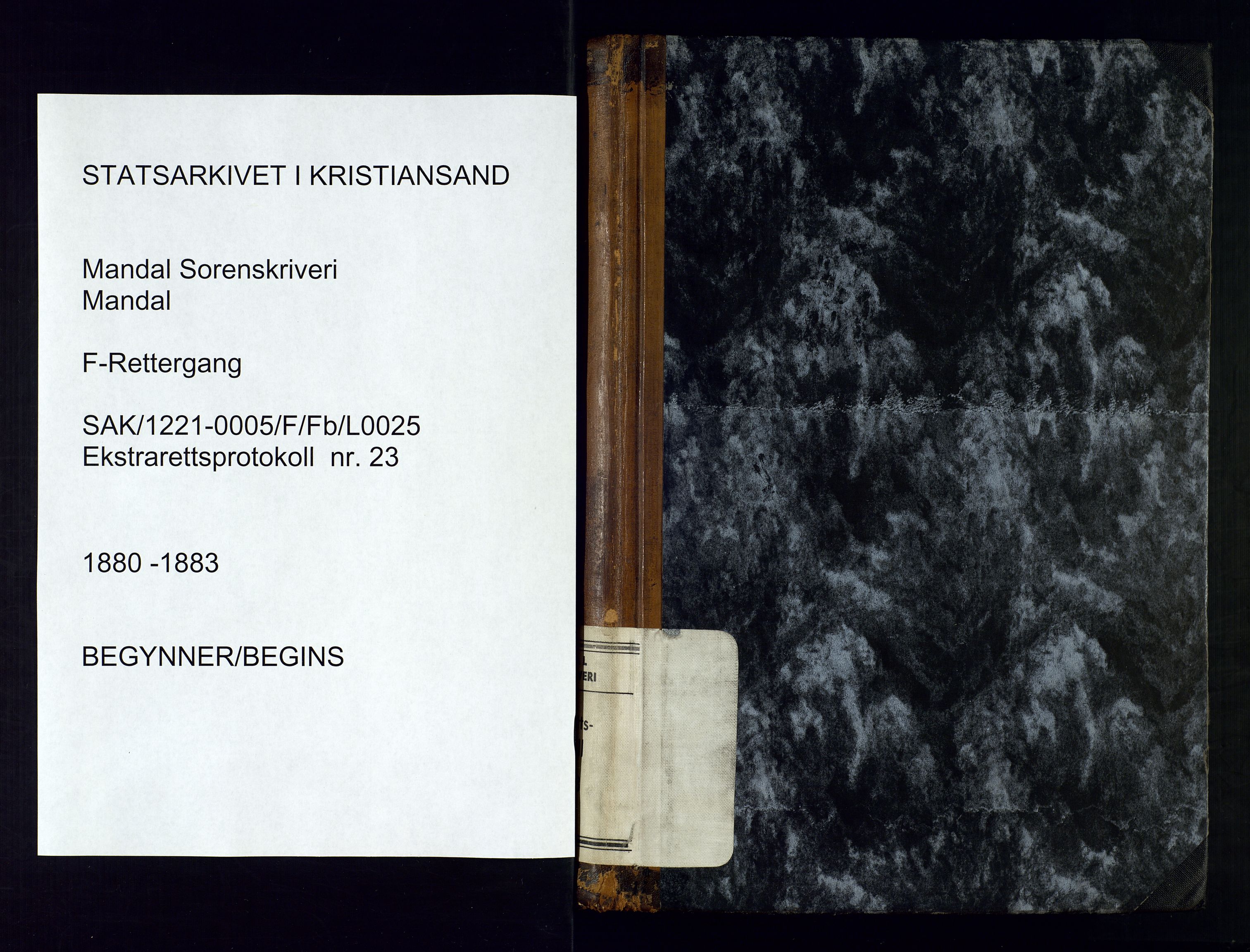 Mandal sorenskriveri, AV/SAK-1221-0005/001/F/Fb/L0025: Ekstrarettsprotokoll nr 23, 1880-1883