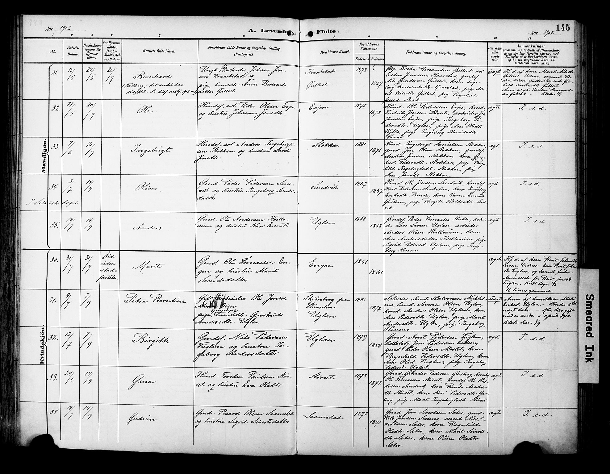 Ministerialprotokoller, klokkerbøker og fødselsregistre - Sør-Trøndelag, AV/SAT-A-1456/695/L1149: Ministerialbok nr. 695A09, 1891-1902, s. 145