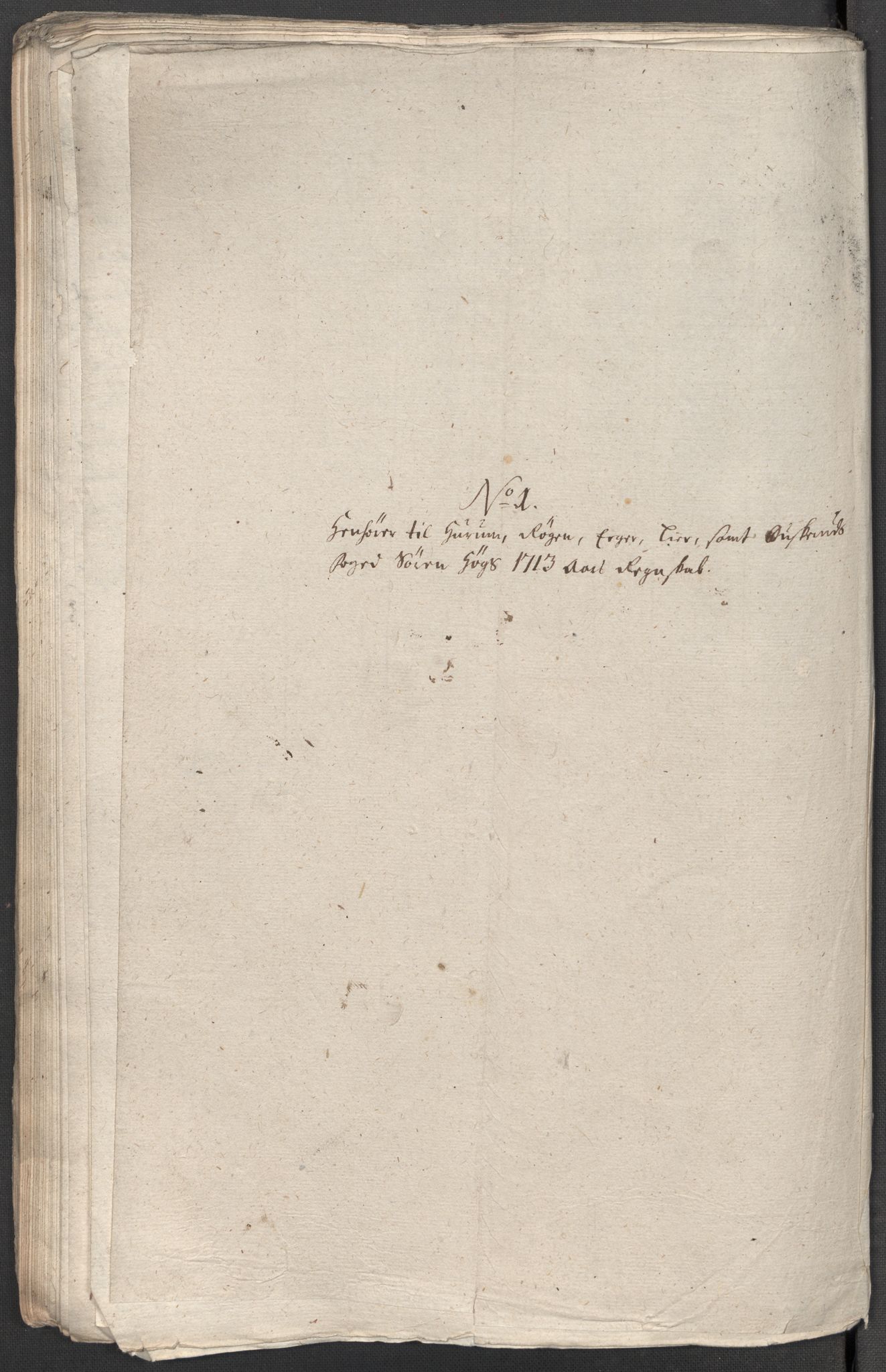 Rentekammeret inntil 1814, Reviderte regnskaper, Fogderegnskap, RA/EA-4092/R31/L1708: Fogderegnskap Hurum, Røyken, Eiker, Lier og Buskerud, 1713, s. 68