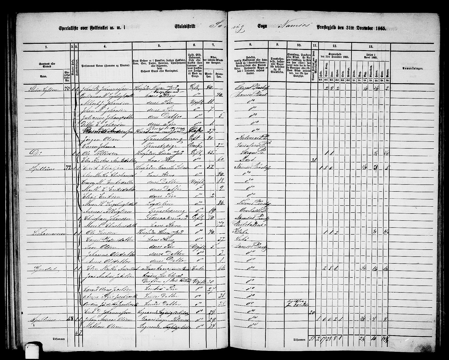 RA, Folketelling 1865 for 1745L Namsos prestegjeld, Vemundvik sokn og Sævik sokn, 1865, s. 49