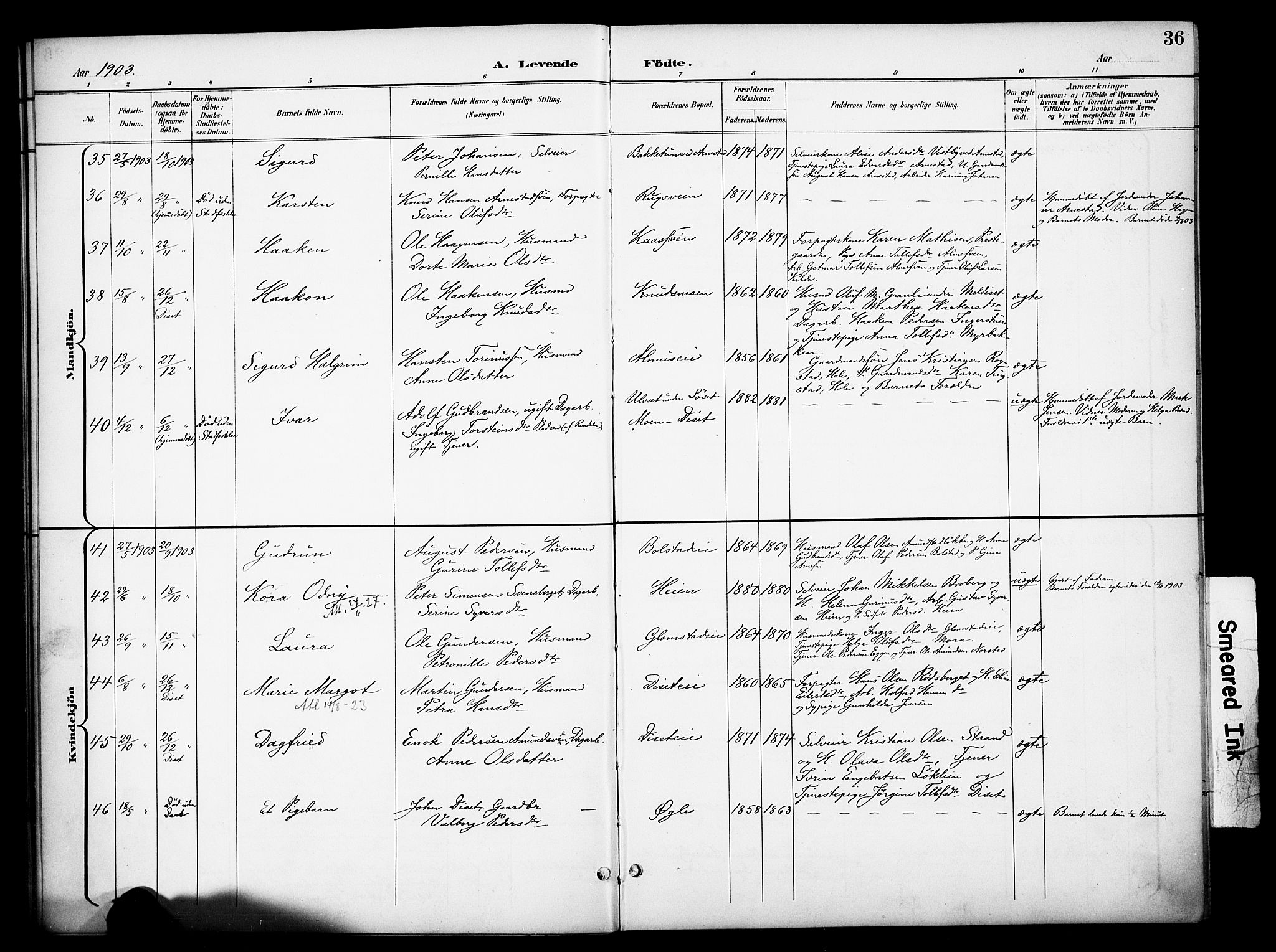 Åmot prestekontor, Hedmark, AV/SAH-PREST-056/H/Ha/Haa/L0013: Ministerialbok nr. 13, 1898-1906, s. 36