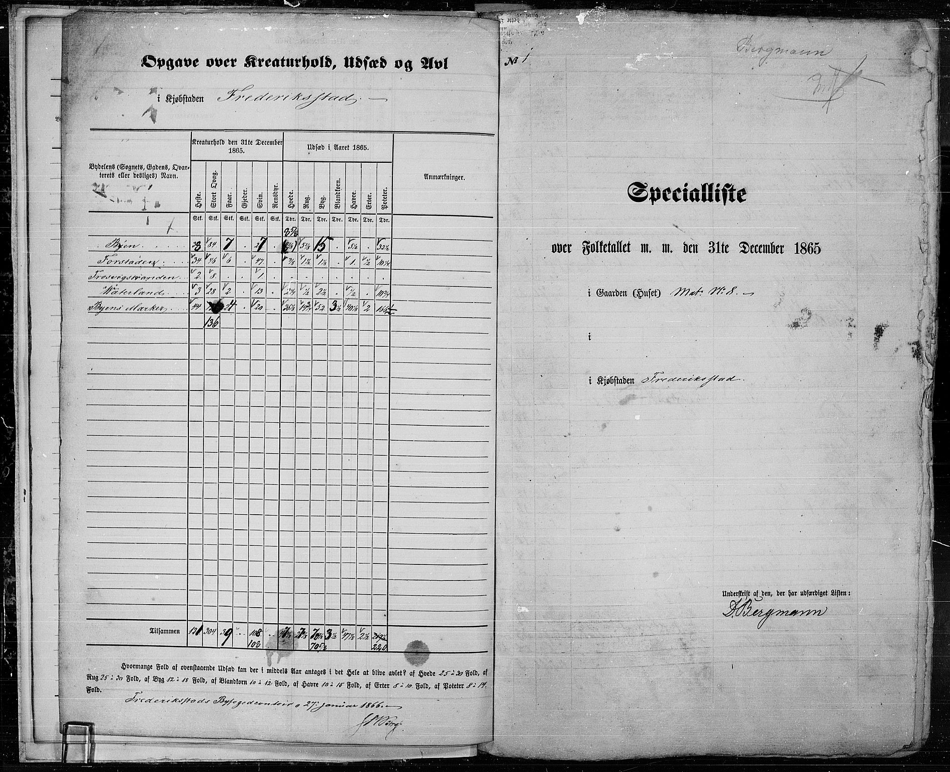 RA, Folketelling 1865 for 0103B Fredrikstad prestegjeld, Fredrikstad kjøpstad, 1865, s. 11