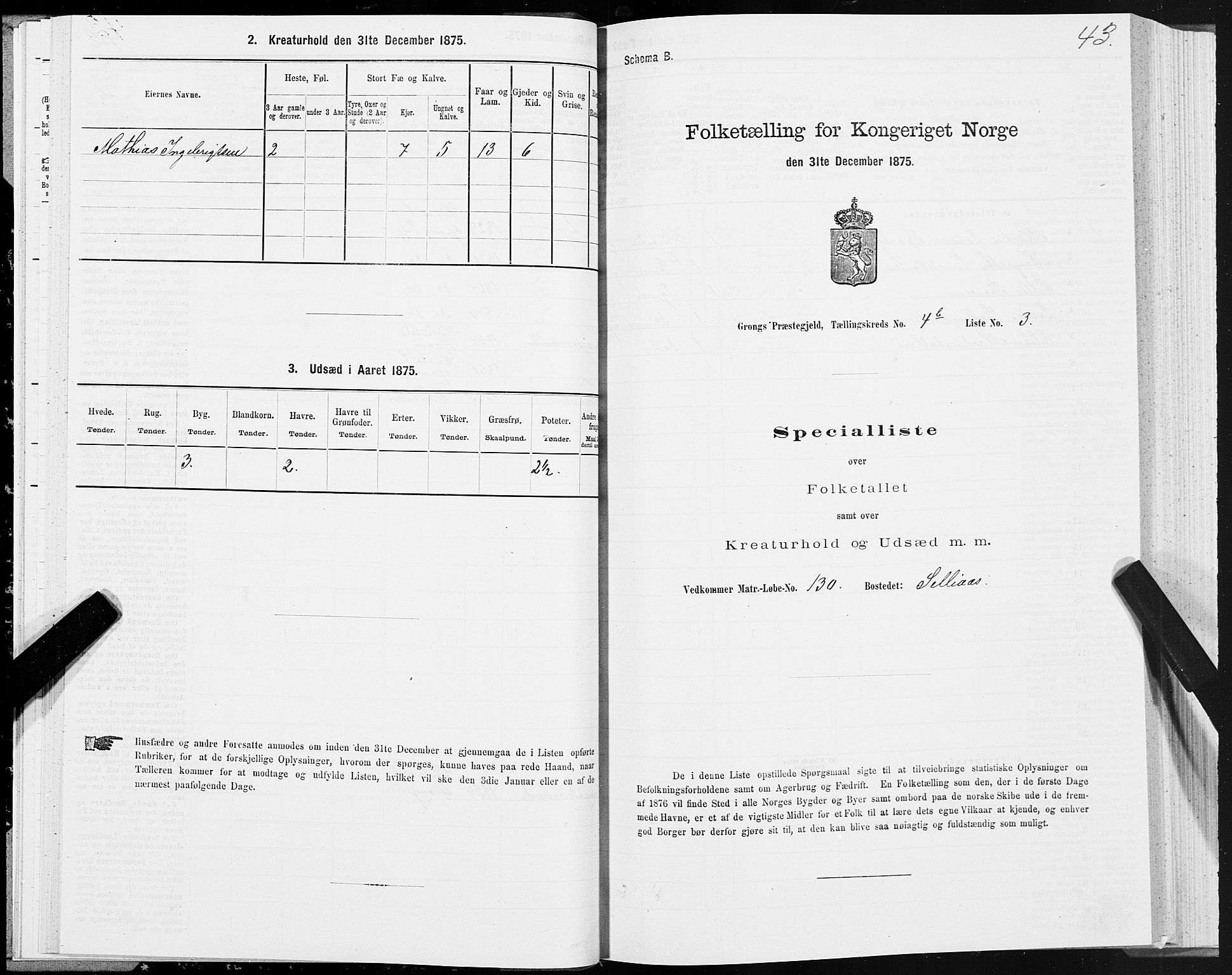 SAT, Folketelling 1875 for 1742P Grong prestegjeld, 1875, s. 3043