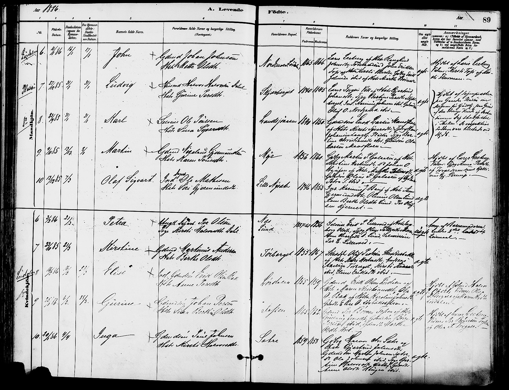 Trysil prestekontor, AV/SAH-PREST-046/H/Ha/Haa/L0008: Ministerialbok nr. 8, 1881-1897, s. 89