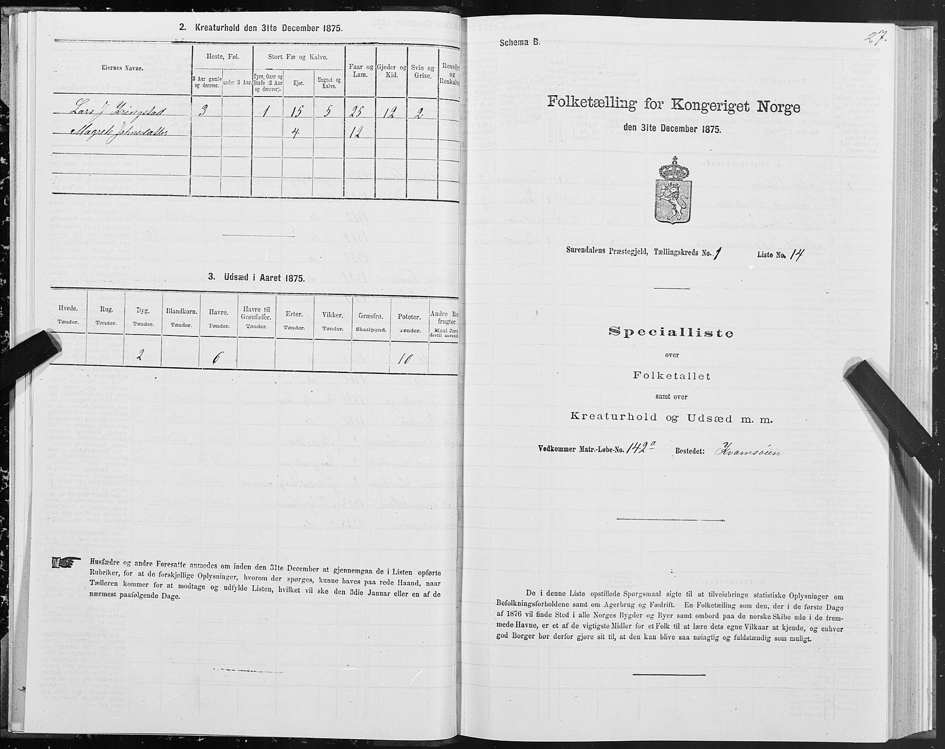 SAT, Folketelling 1875 for 1566P Surnadal prestegjeld, 1875, s. 1027