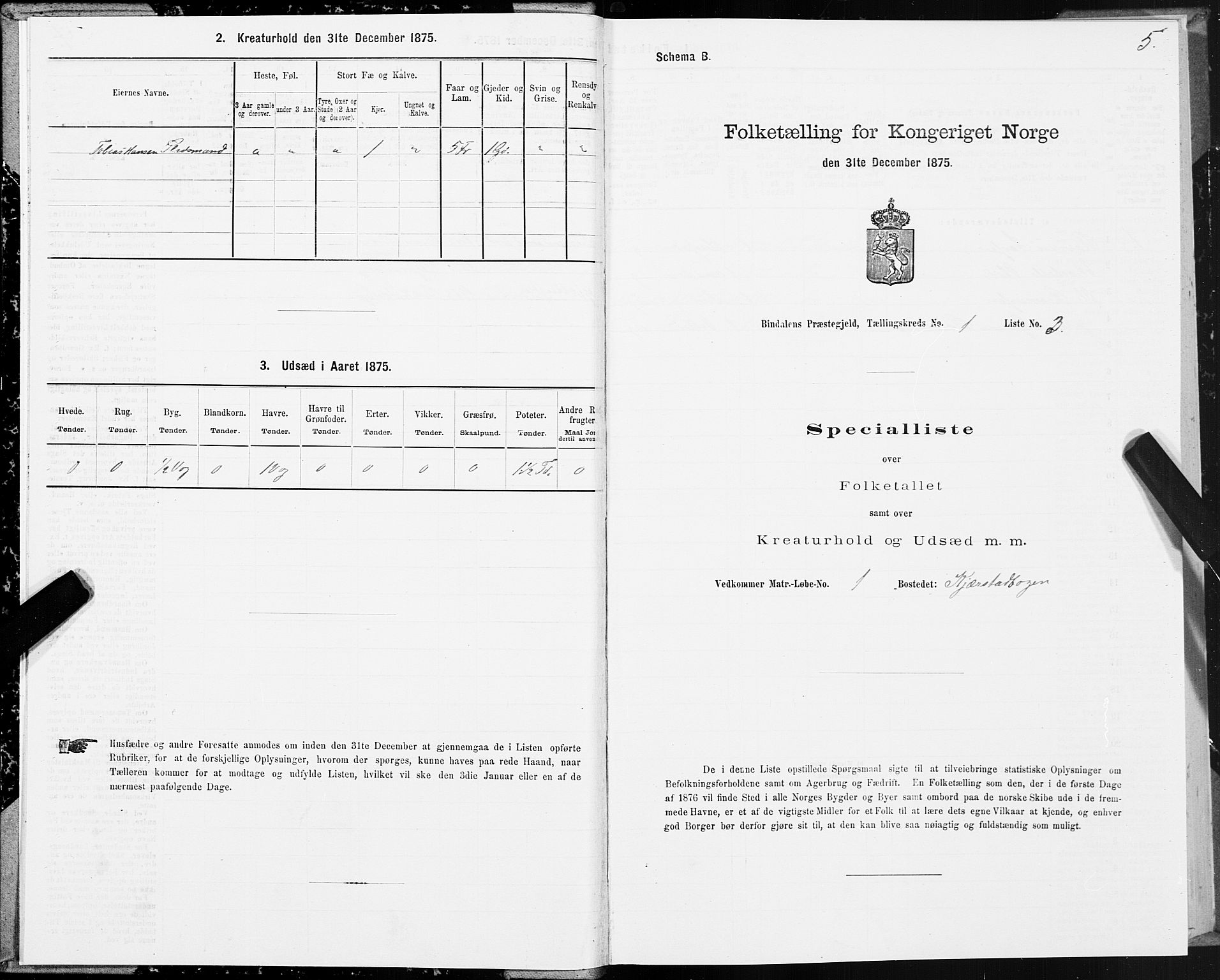 SAT, Folketelling 1875 for 1811P Bindal prestegjeld, 1875, s. 1005