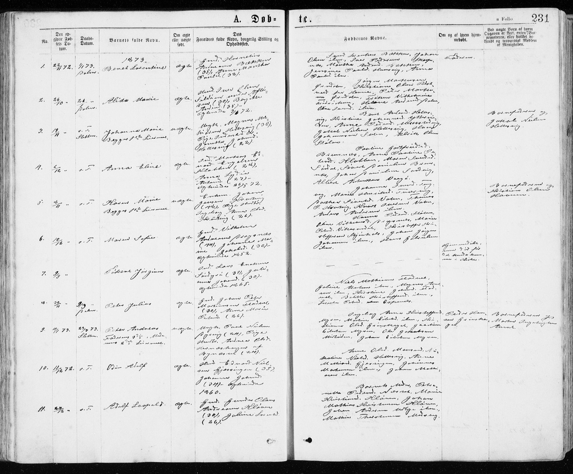 Ministerialprotokoller, klokkerbøker og fødselsregistre - Sør-Trøndelag, SAT/A-1456/640/L0576: Ministerialbok nr. 640A01, 1846-1876, s. 231