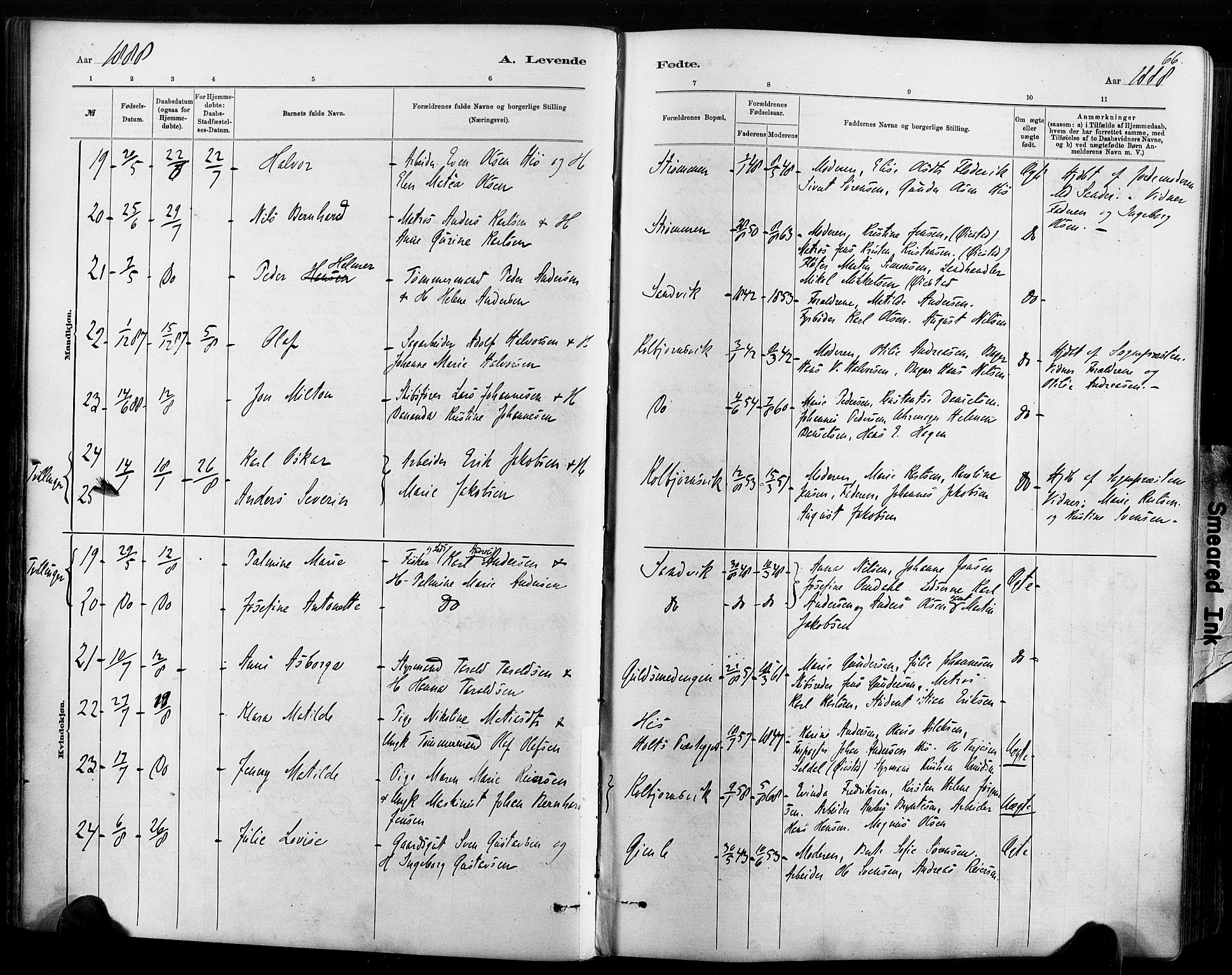 Hisøy sokneprestkontor, AV/SAK-1111-0020/F/Fa/L0003: Ministerialbok nr. A 3, 1881-1894, s. 66
