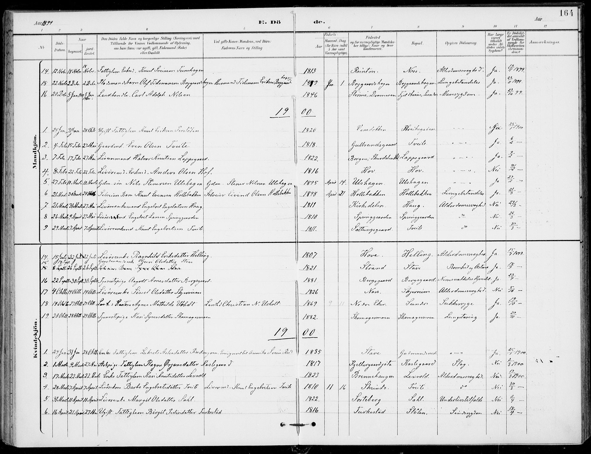 Ål kirkebøker, AV/SAKO-A-249/F/Fa/L0009: Ministerialbok nr. I 9, 1897-1915, s. 164
