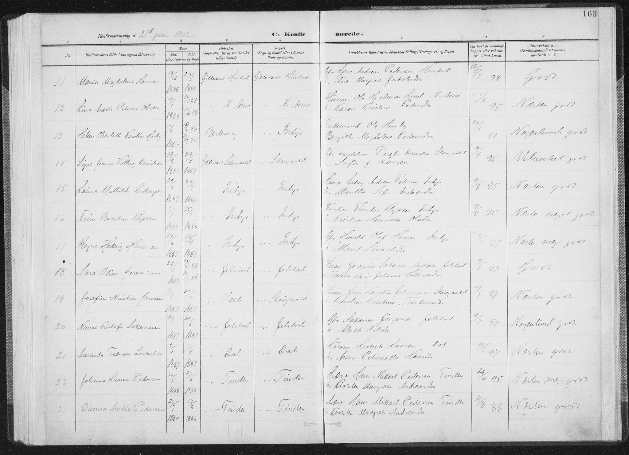 Ministerialprotokoller, klokkerbøker og fødselsregistre - Nordland, AV/SAT-A-1459/805/L0102: Ministerialbok nr. 805A08I, 1900-1909, s. 163