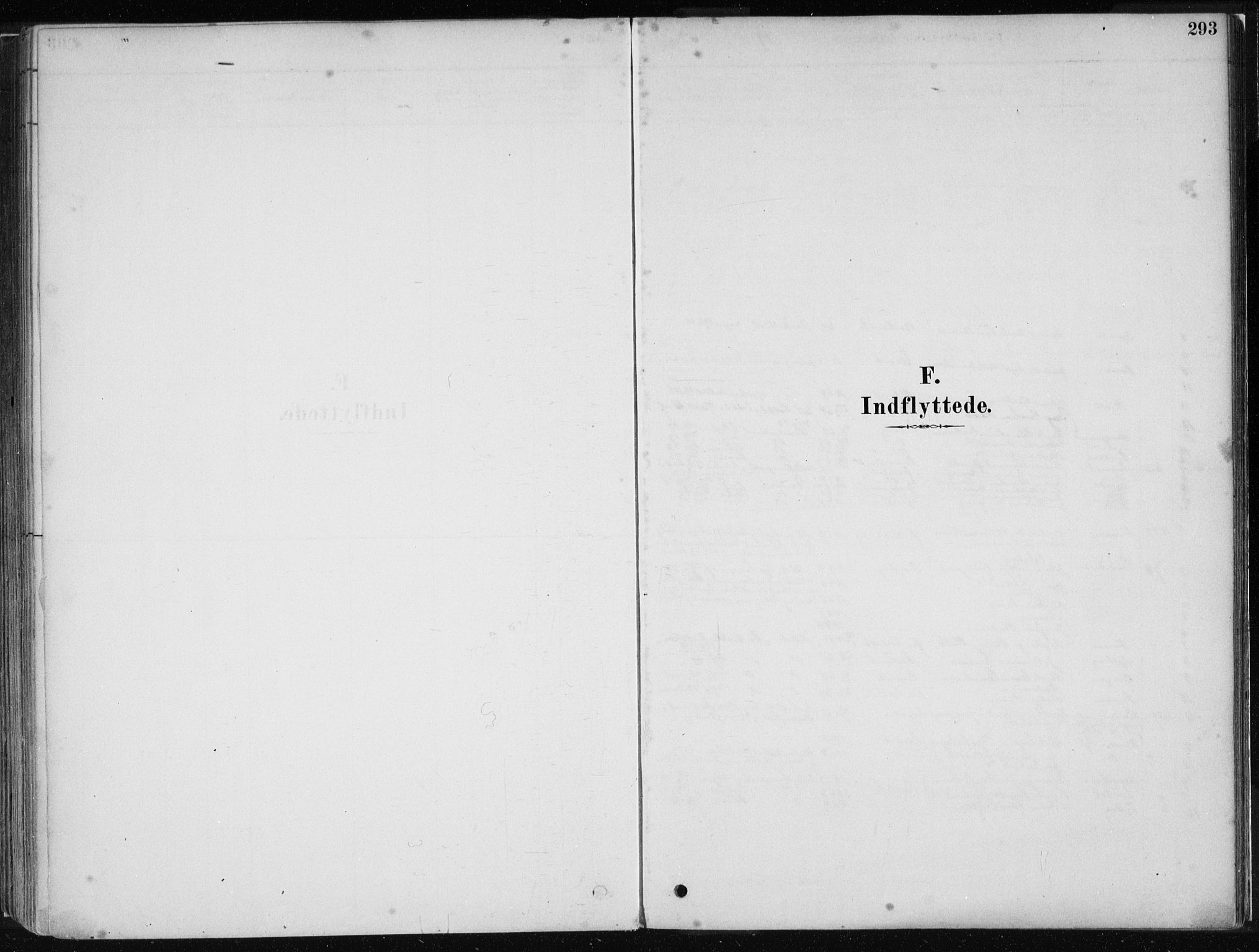Stord sokneprestembete, AV/SAB-A-78201/H/Haa: Ministerialbok nr. B 2, 1878-1913, s. 293