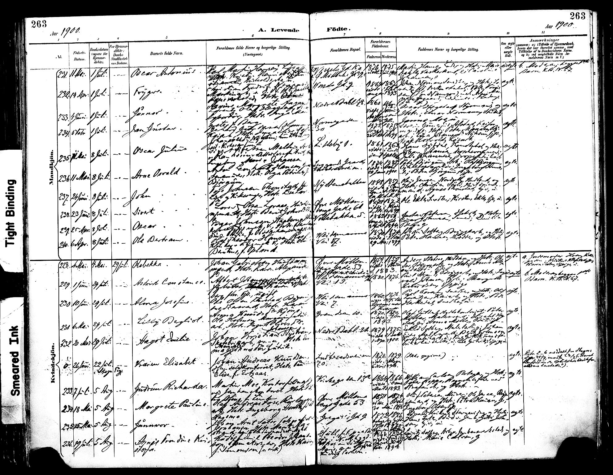 Ministerialprotokoller, klokkerbøker og fødselsregistre - Sør-Trøndelag, SAT/A-1456/604/L0197: Ministerialbok nr. 604A18, 1893-1900, s. 263