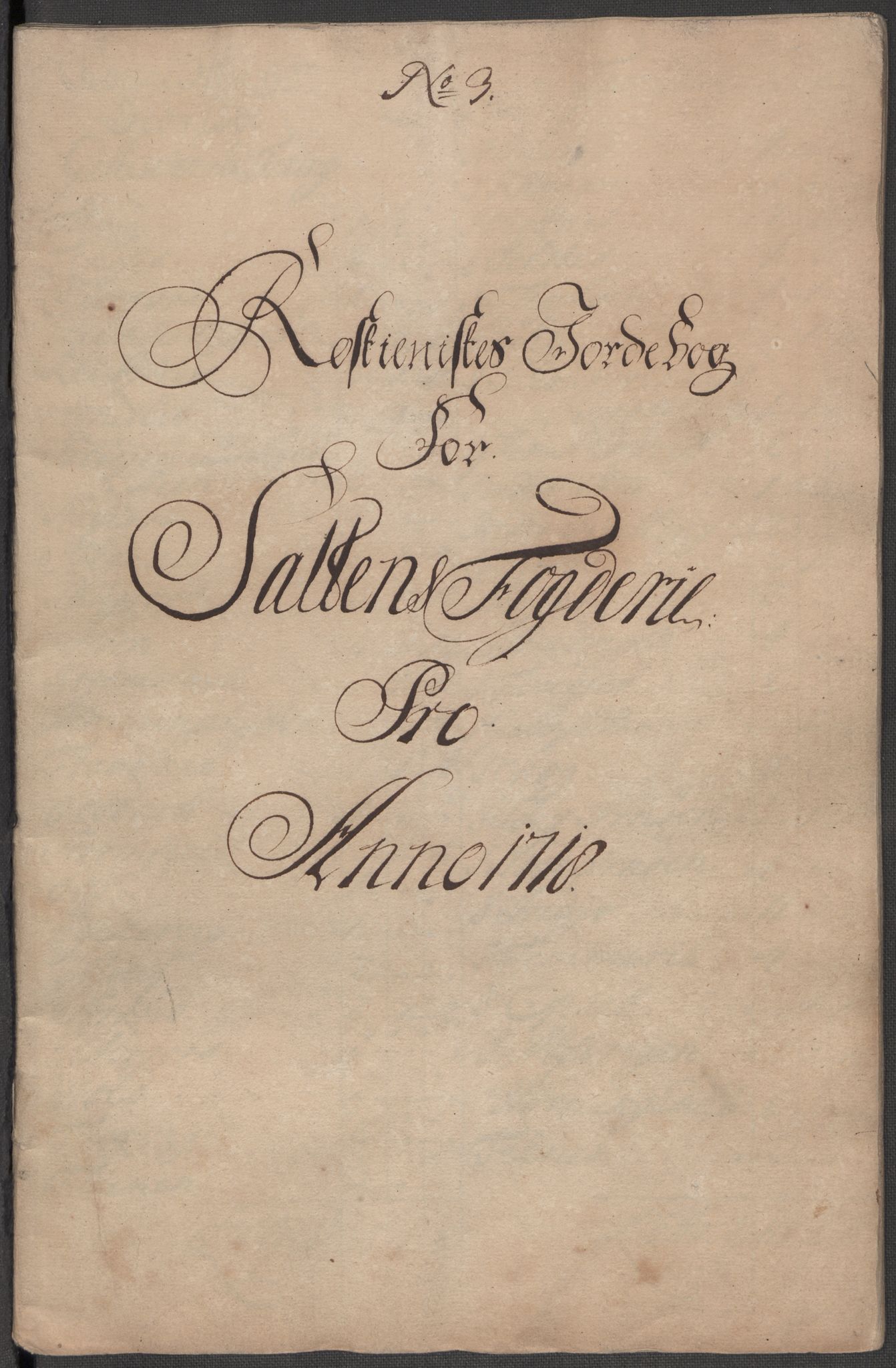 Rentekammeret inntil 1814, Reviderte regnskaper, Fogderegnskap, RA/EA-4092/R66/L4588: Fogderegnskap Salten, 1718, s. 104